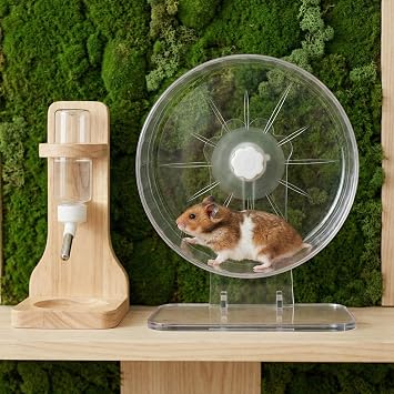 Super-Silent Hamster Exercise Wheel 22cm with Adjustable Stand Dual-Bearing Exercise Wheel Quiet Spinning Running Wheel for Hamster Hedgehog Gerbils Or Other Small Animals (Transparent, 22cm)