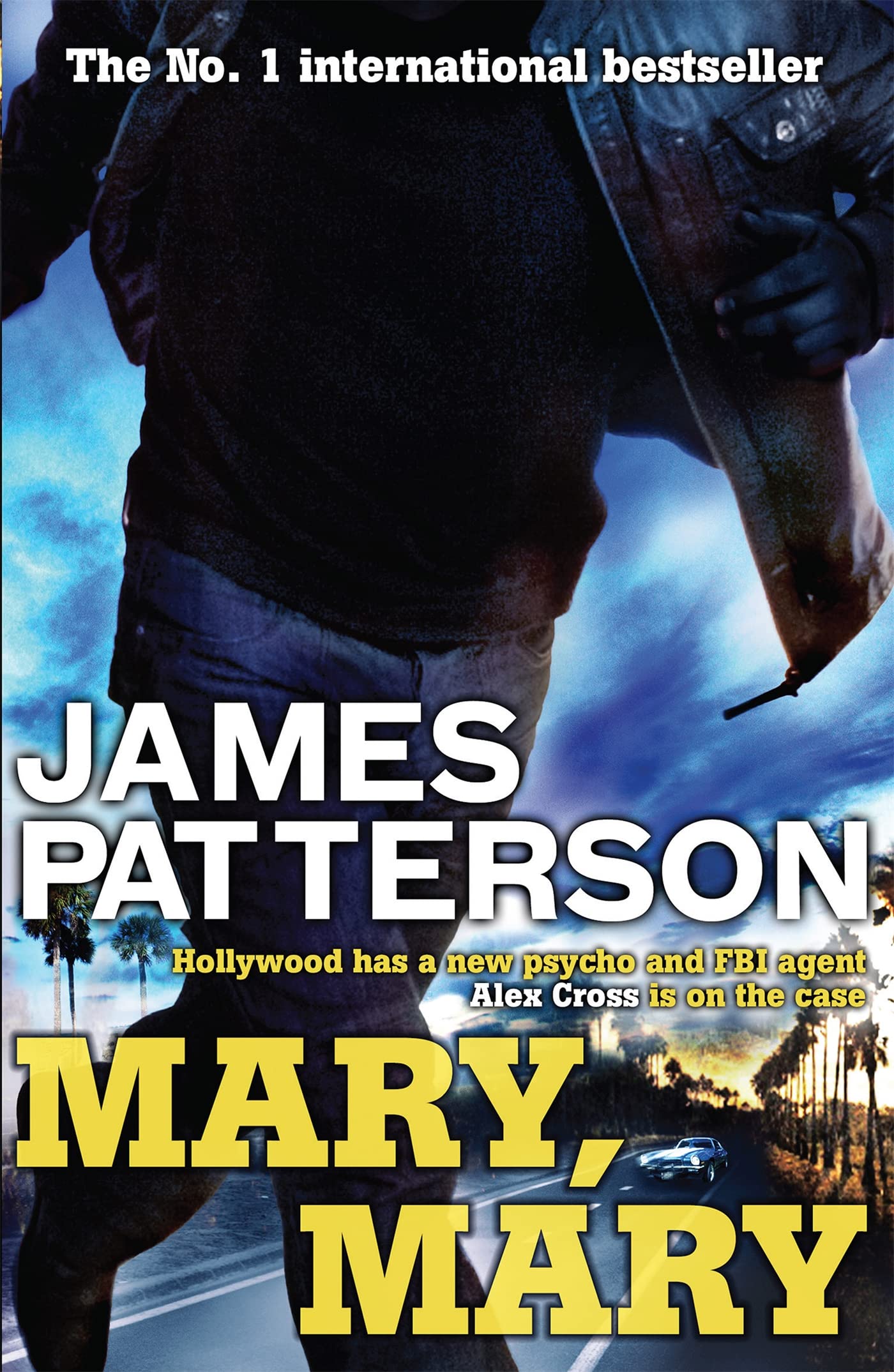 Mary, Mary by James Patterson (Paperback Book)