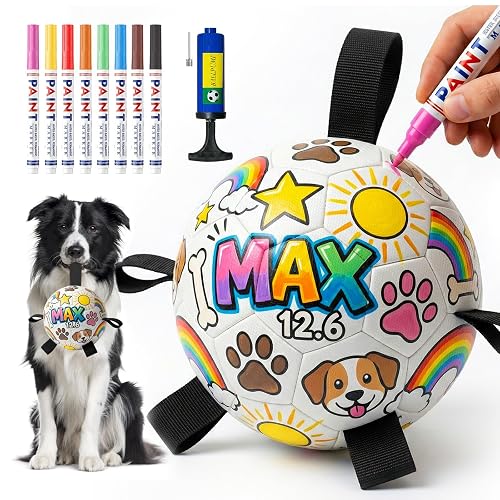 HETOO Paint Your Own Soccer Ball, Art Craft DIY Kit