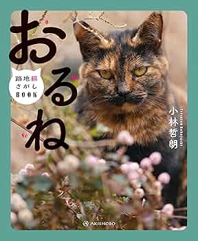 ねむるねこページ 書籍詳細：しずかに ねむる ねこ | 書籍案内 | 文芸社