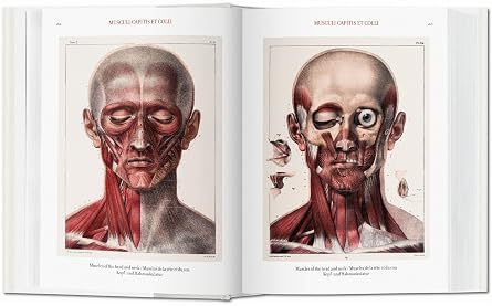 Jean Marc Bourgery. Atlas of Human Anatomy and Surgery (Bibliotheca Universalis)