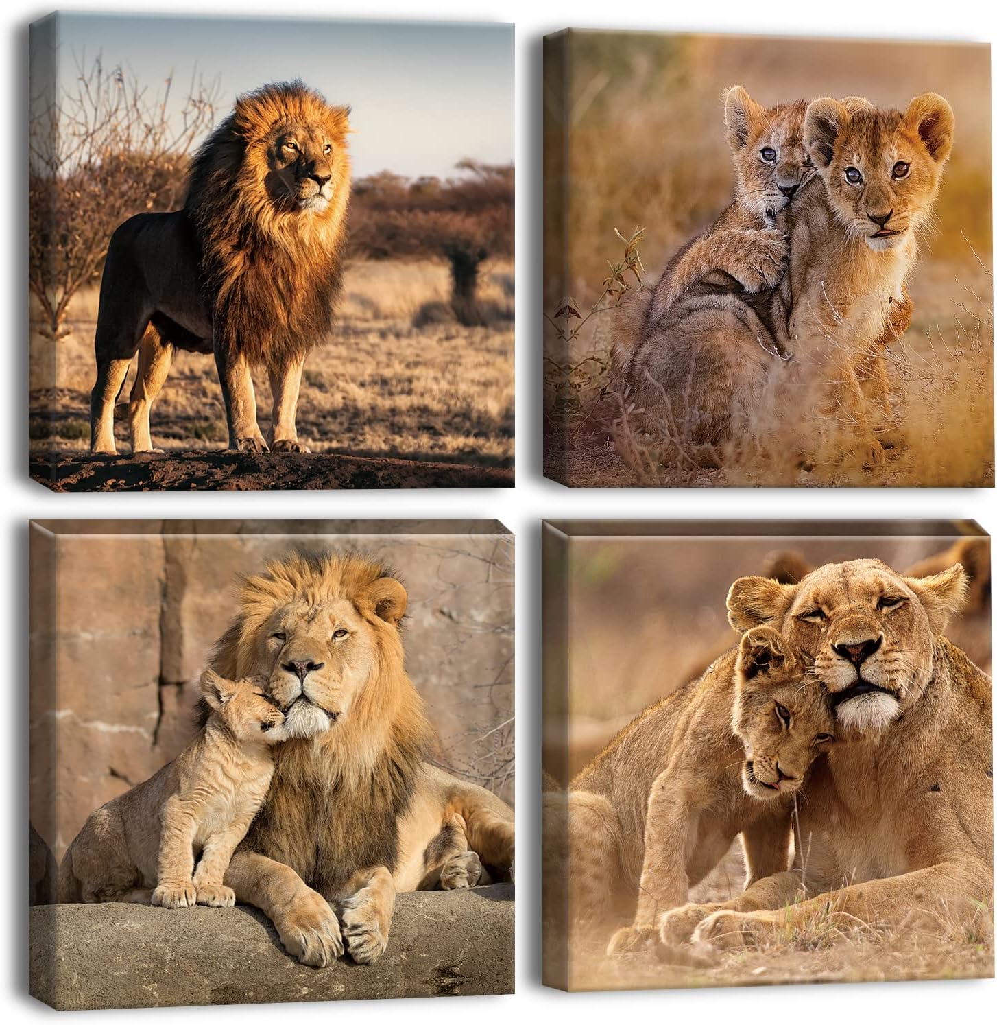 Artscope 4 Pieces Wall Art Canvas Prints - Lion Family Picture Painting - Modern Wall Artwork Framed for Gifts Bathroom Home Kitchen Office Decor - 30 x 30 CM