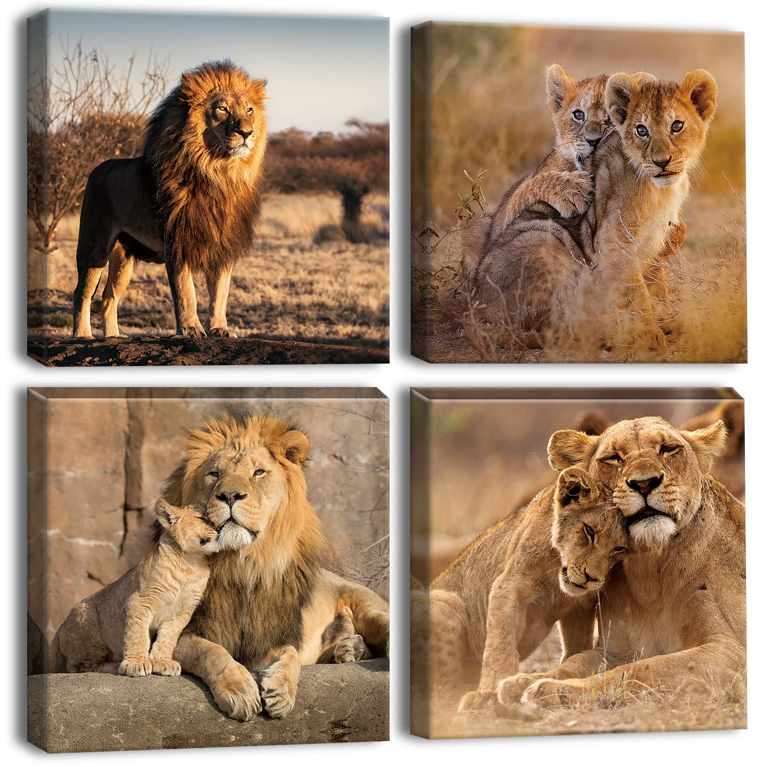 Artscope 4 Pieces Wall Art Canvas Prints - Lion Family Picture Painting - Modern Wall Artwork Framed for Gifts Bathroom Home Kitchen Office Decor - 30 x 30 CM