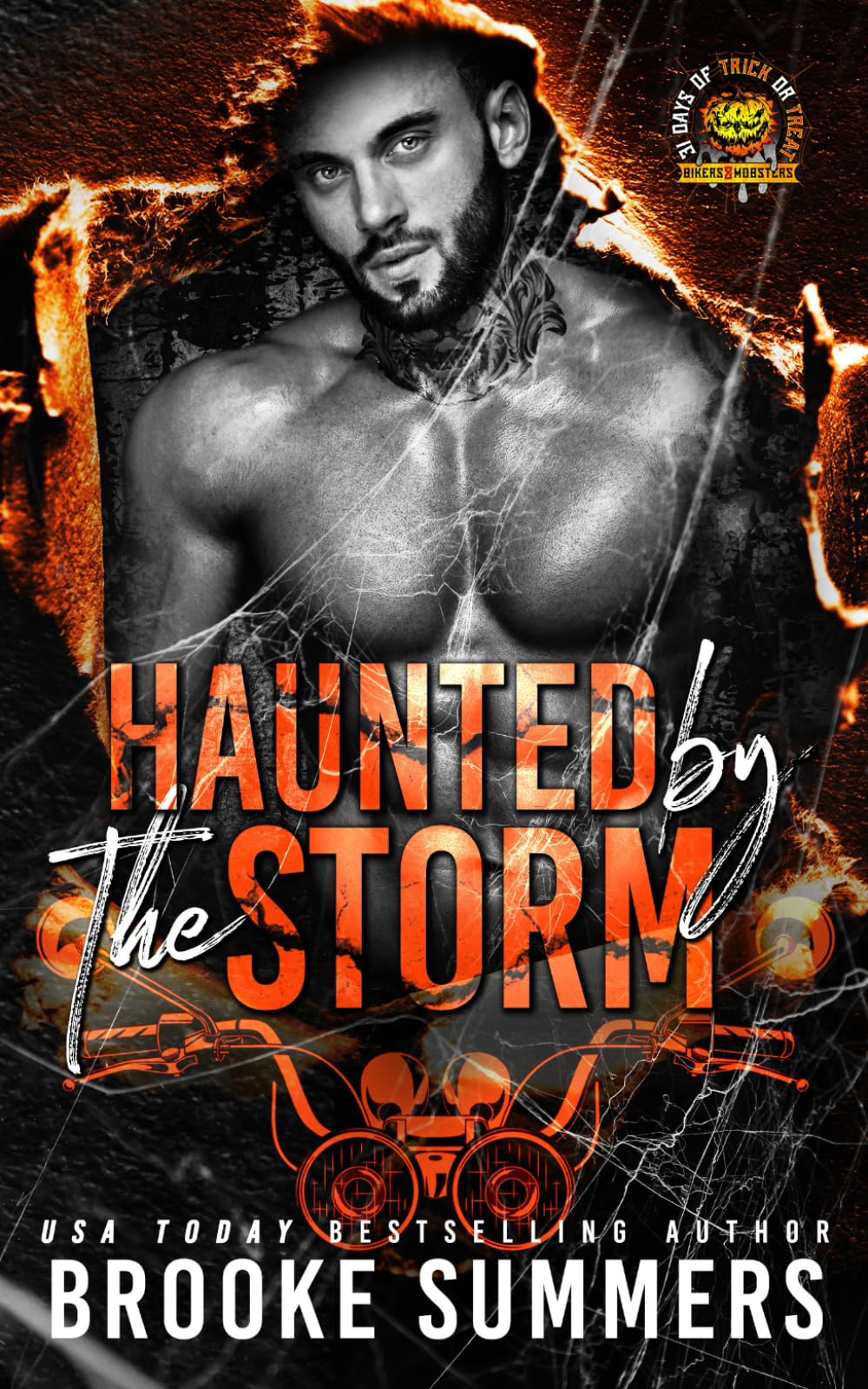 Haunted by the Storm: A Fury Vipers MC Romance