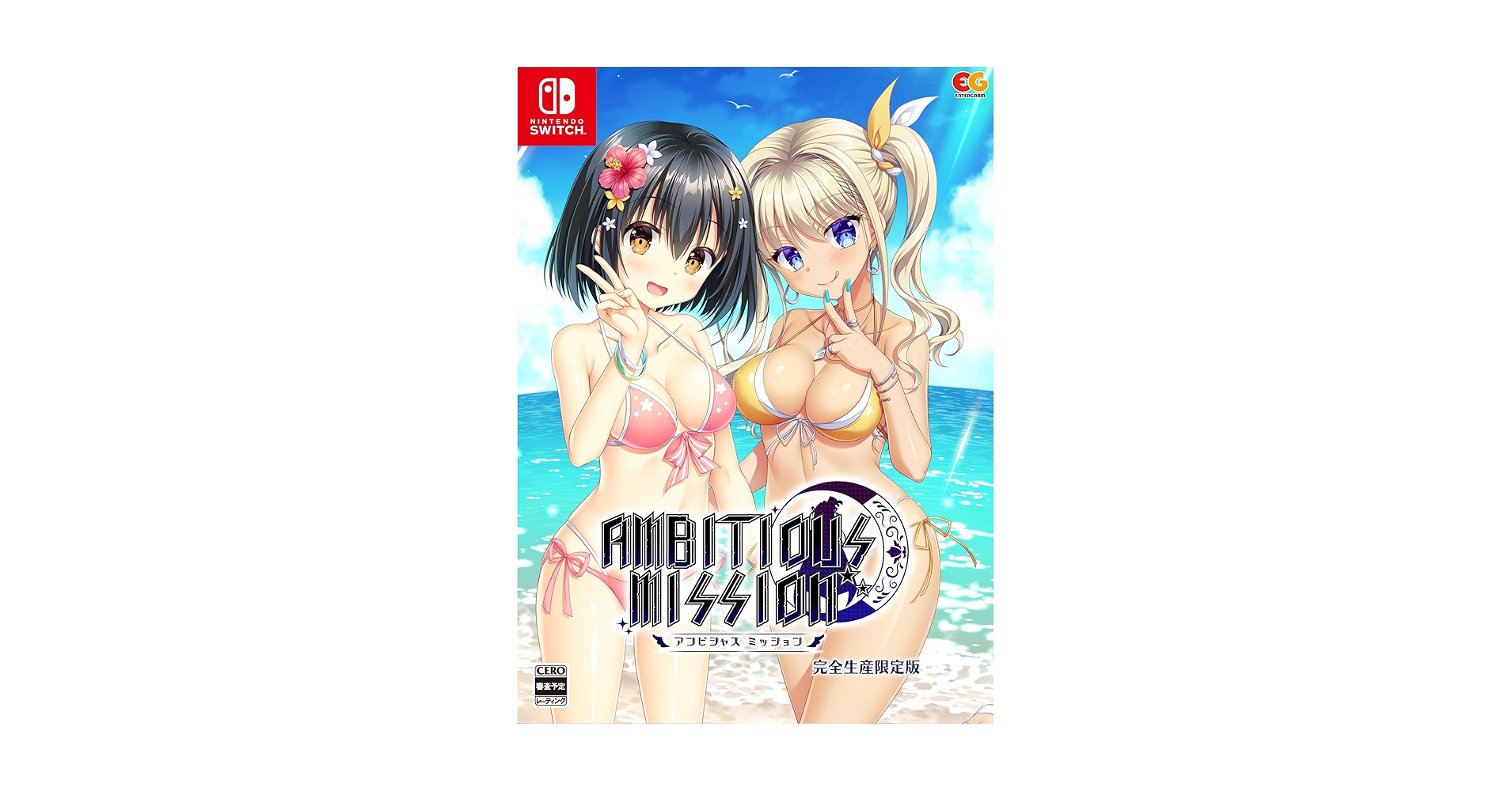 【Switch】AMBITIOUS MISSION 完全生産限定版【新品】 61BvY6HSL3L._UF894,1000_QL80_.jpg
