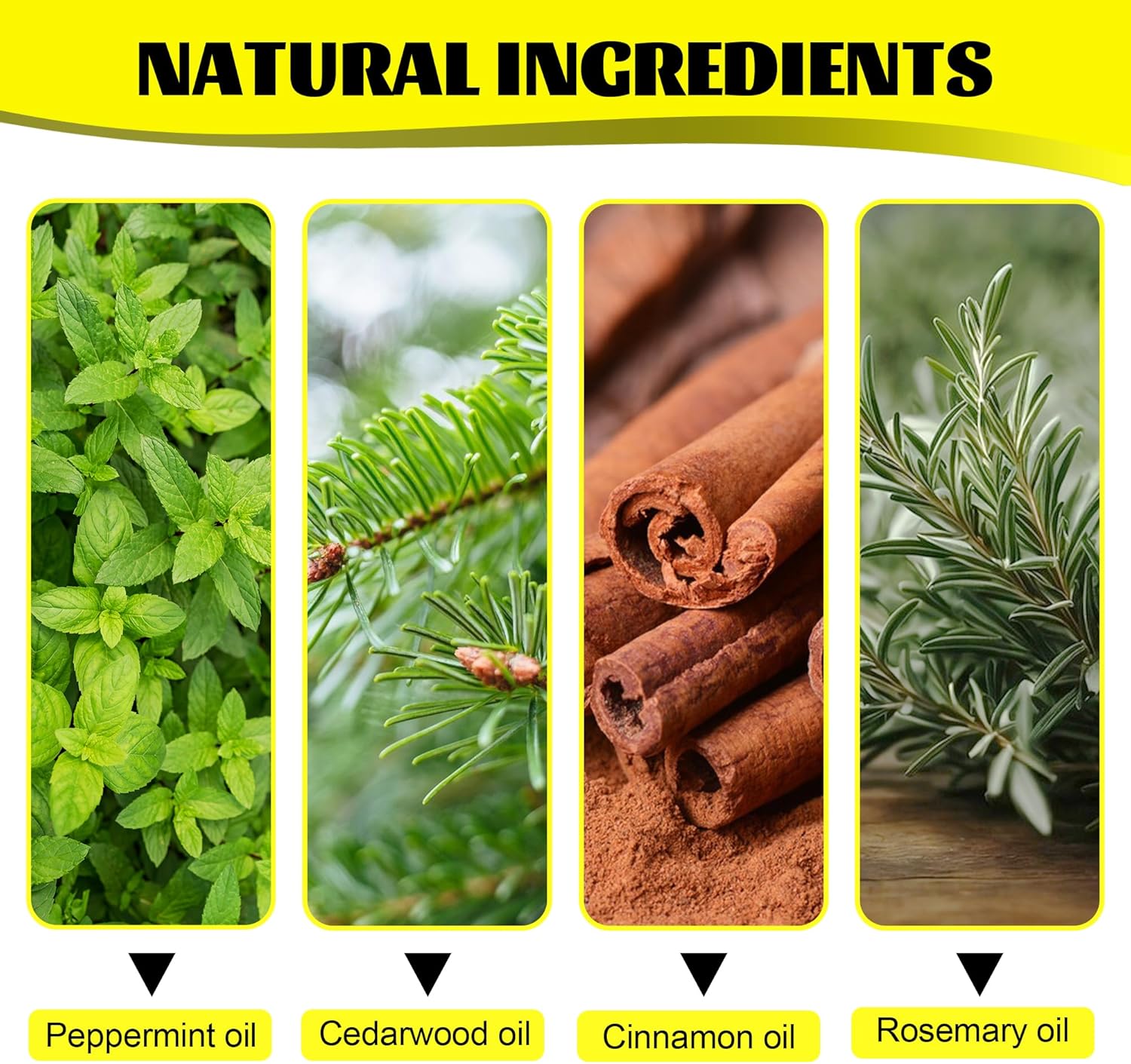 Upgrade Pest & Insect Control Spray,Silverfish Repellent Indoor & Outdoor, Spider & Ant Control for House, Peppermint & Cedar Oil Formula | Plant-Based, Pet-Safe Pest Defense - Image 3