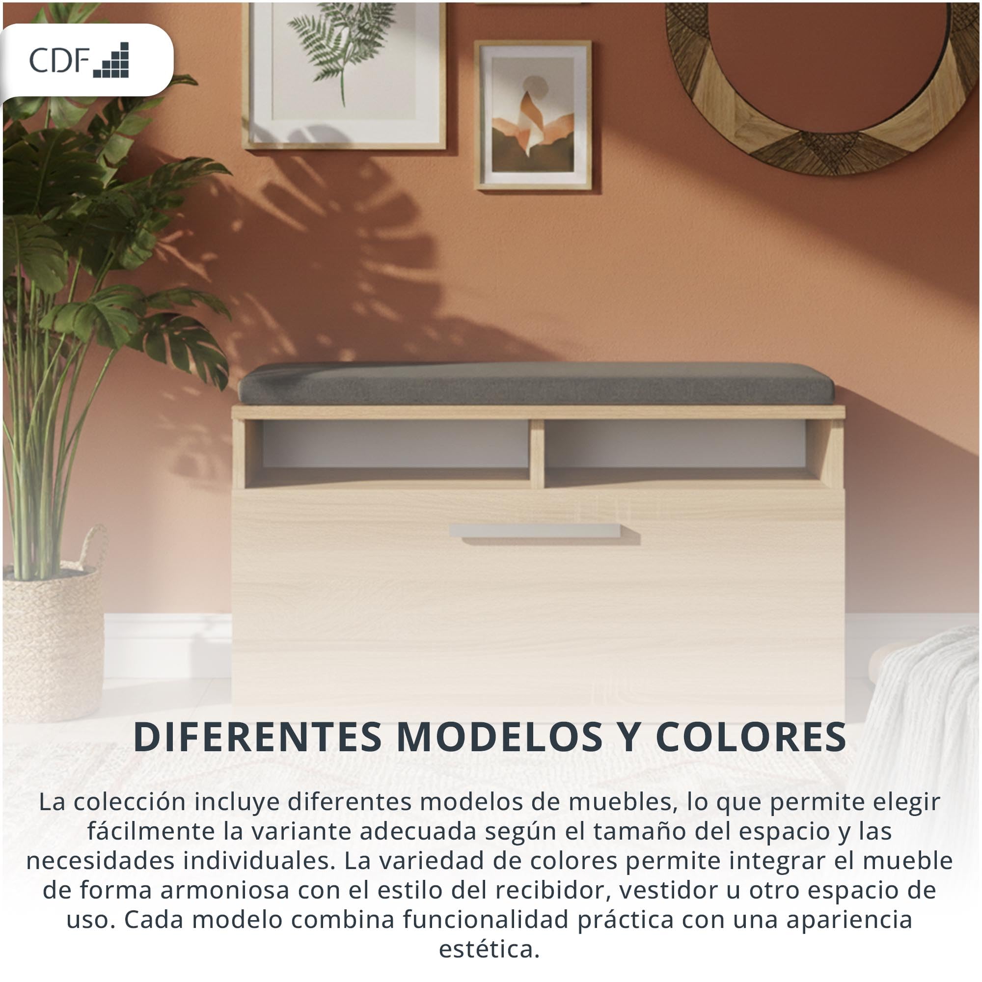CDF Armario de zapatos Riva | Color: roble Sonoma | Ideal para pasillo, pasillo, oficina | Almacenamiento | Asiento cómodo (cojín) | Moderno | Puerta batiente