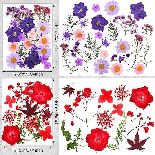 Miniatura 3 de Flores prensadas de resina para molde de resina, hojas de flores secas de margaritas reales naturales con pinzas para álbumes de recortes,