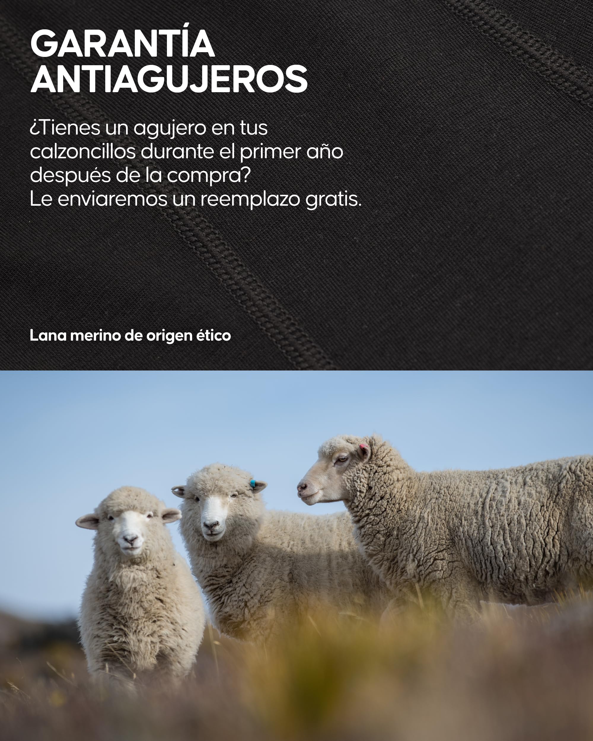 DANISH ENDURANCE Boxer de Lana Merino Hombre, Transpirables, 1 y 2 Pack