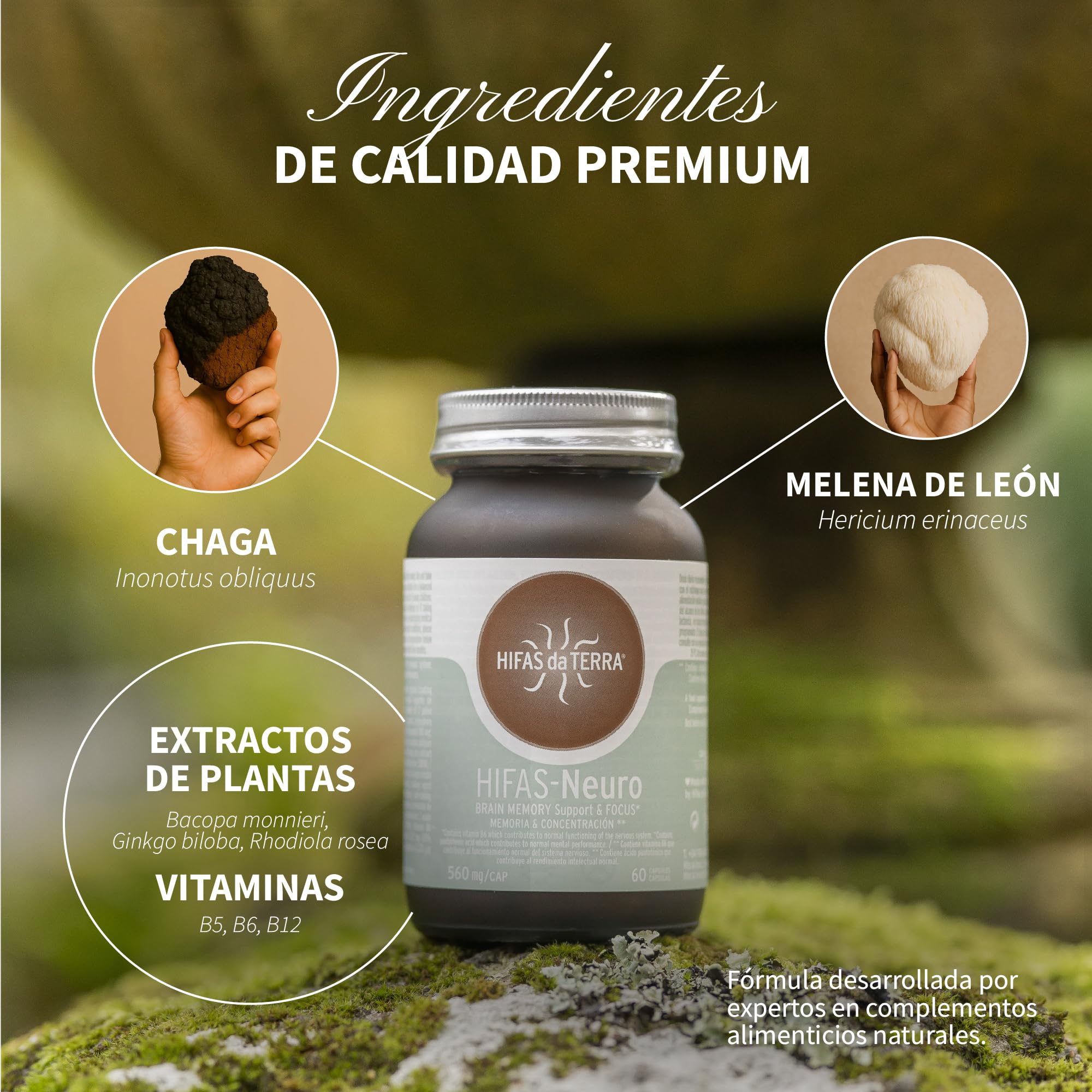 HIFAS DA TERRA - HIFAS-Neuro Suplemento para Memoria y Concentración con Extractos de Hongos Puros de Melena de León y Chaga, Vitaminas B6 y B12 - Apoya Cognición y Concentración - Refill 60 Cápsulas