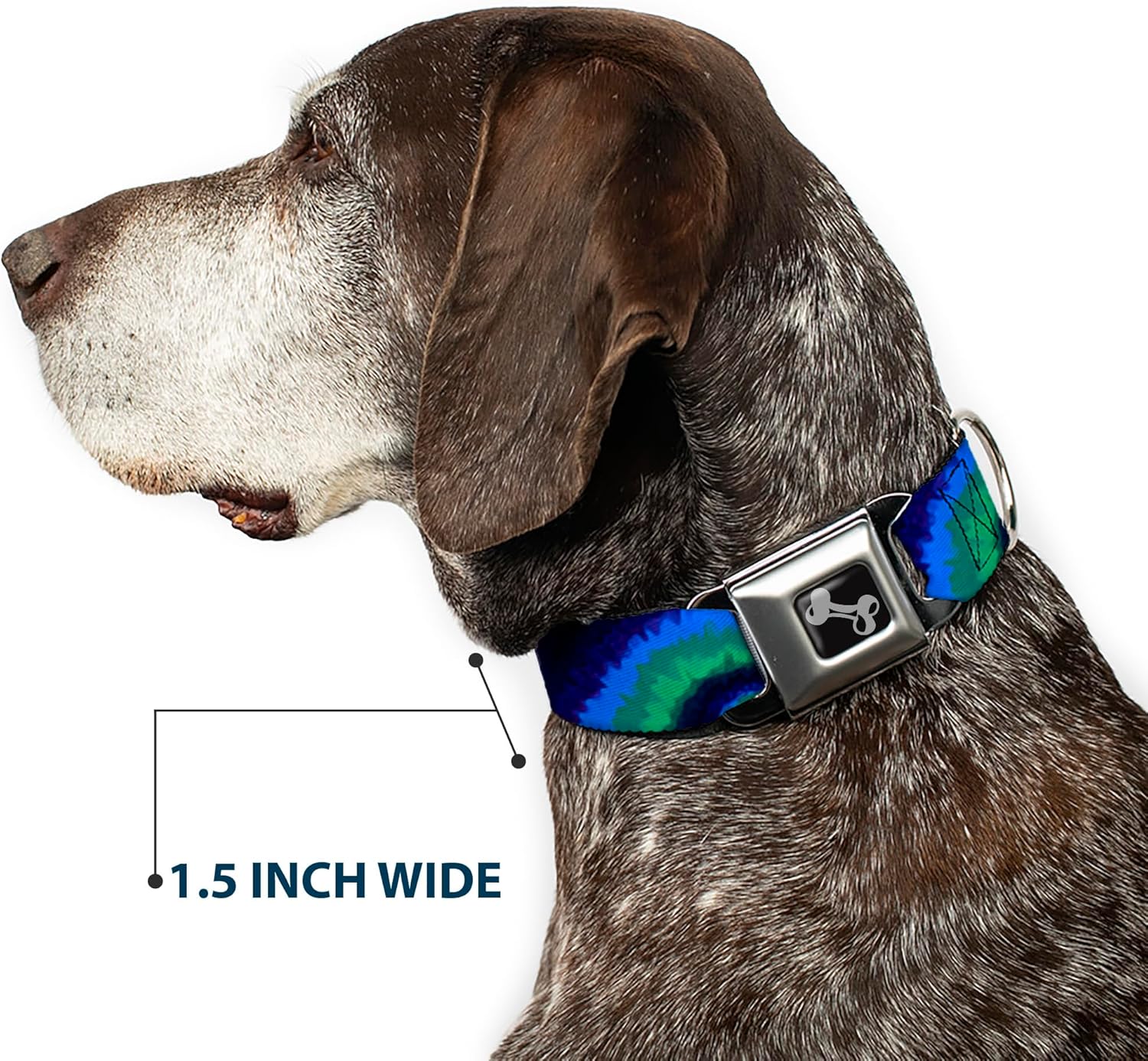 Dog Collar Seatbelt Buckle Tie Dye Swirl Green Blue Purple 11 to 17 Inches 1.0 Inch Wide