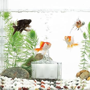 Saalio サーリオ 本体&ACアダプタ サーリオ 専用アダプタ（日本用の差し込み口）