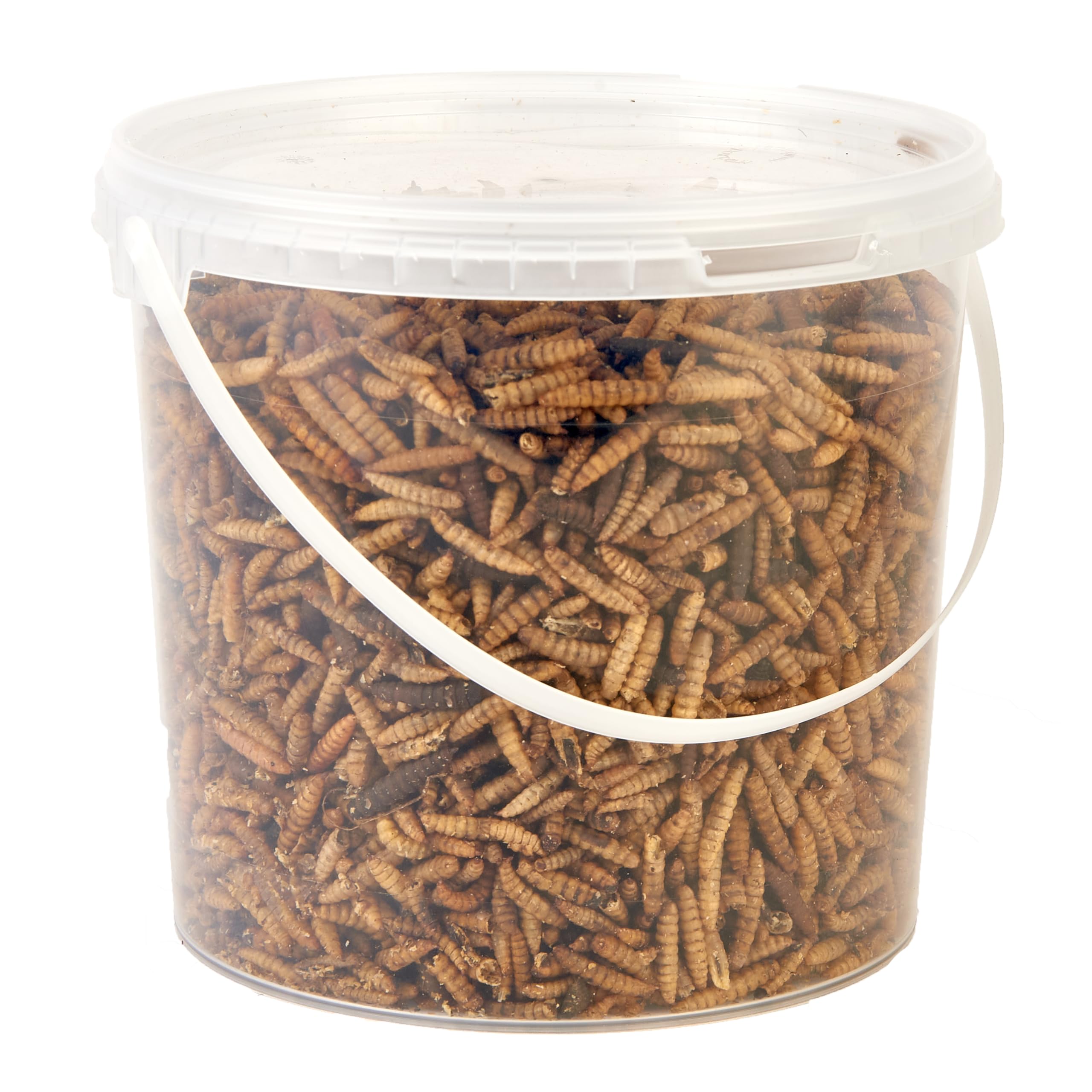 Peanuts Calci Worms, Wild Bird Food, 2.5L