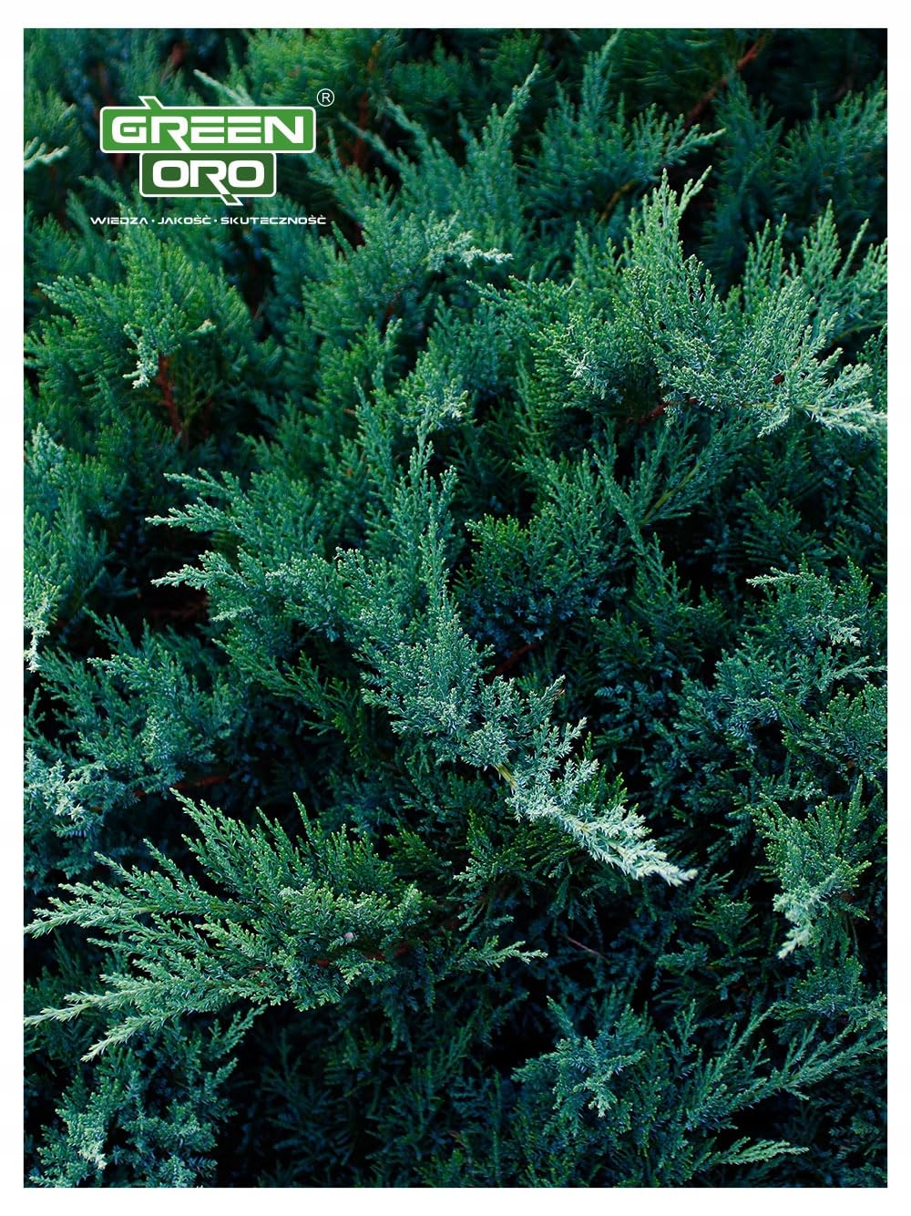 HYDRO AKI 24kg - Fertilizzante autunnale per thuja e conifere