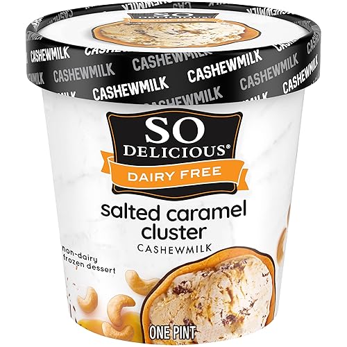 So Delicious Lácteos sin Lácteos Grupos de Caramelo Salado Conversión de Postre Congelado, 16 oz