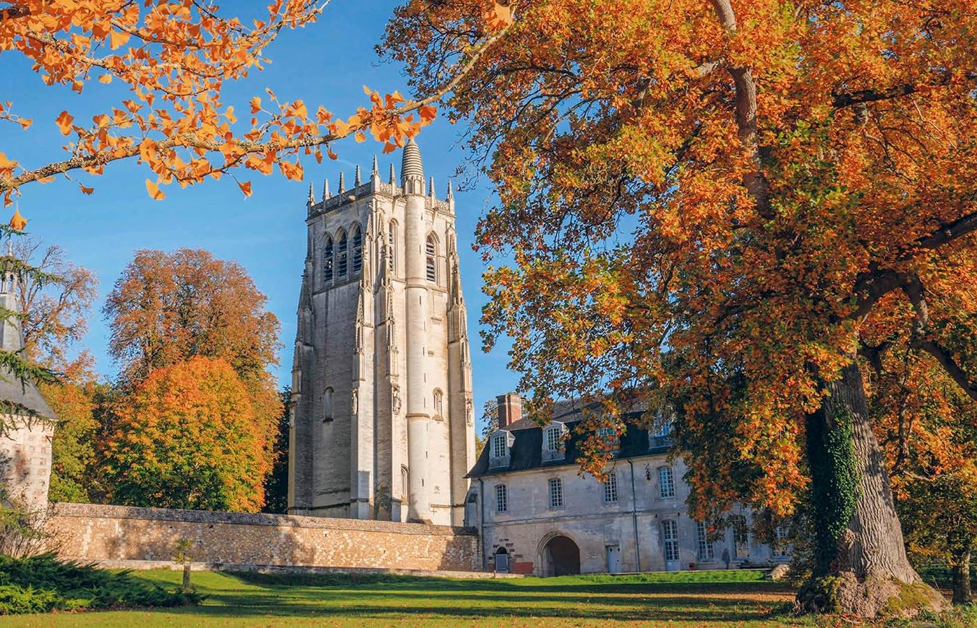 Au coeur des abbayes: Histoire et secrets des plus beaux monastères de France