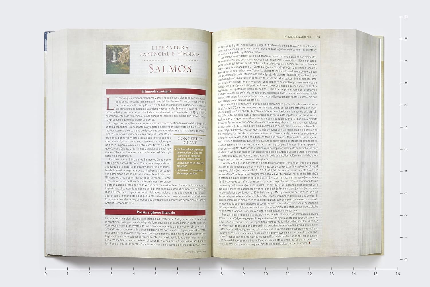 RVR, Biblia de estudio trasfondo cultural (El contexto lo cambia todo), Tapa dura, Interior a color, Comfort Print: Explora el mundo antiguo de la Escritura (Spanish Edition)      Hardcover – September 2, 2025