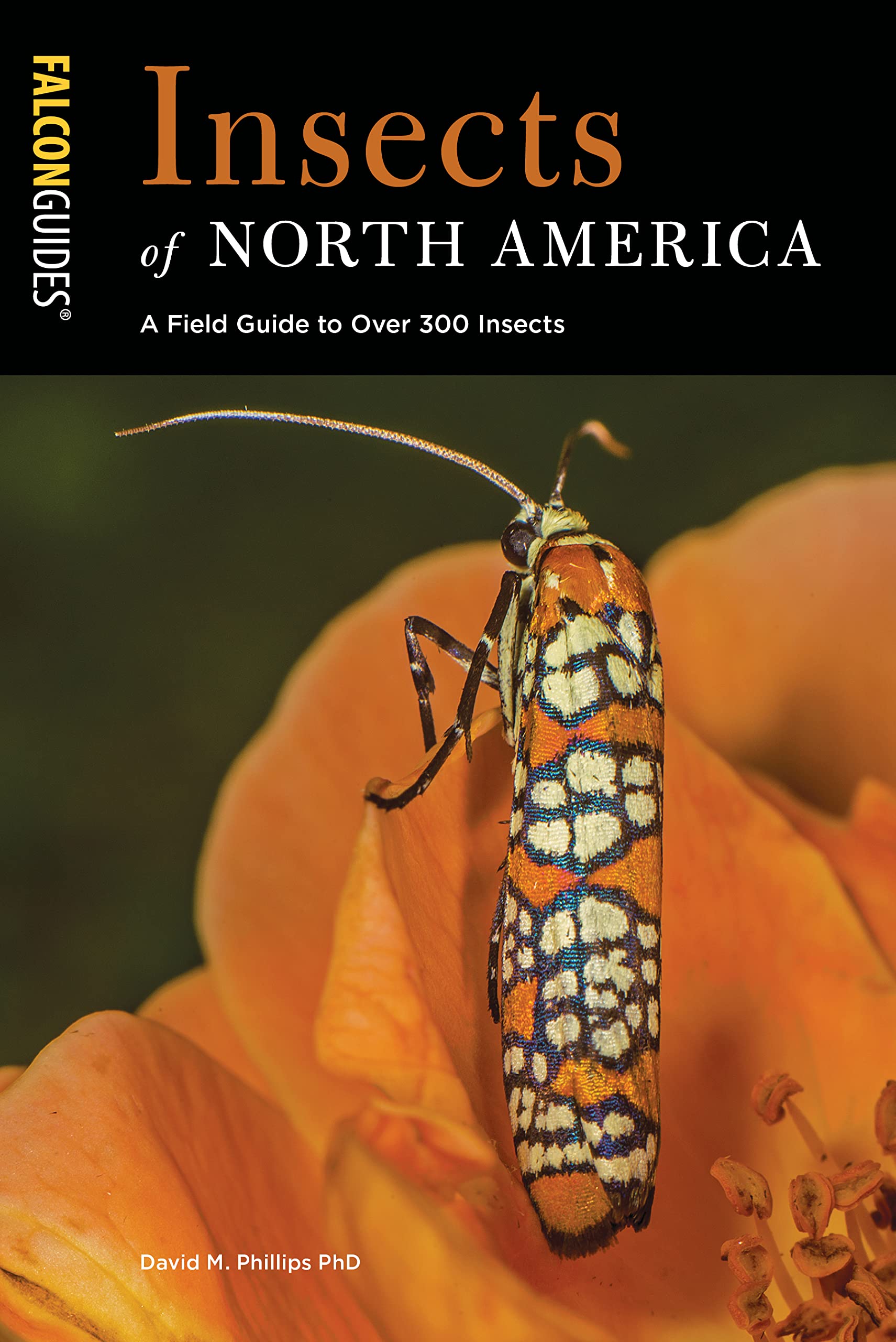 Insects of North America: A Field Guide to Over 300 Insects (Falcon Guides)
