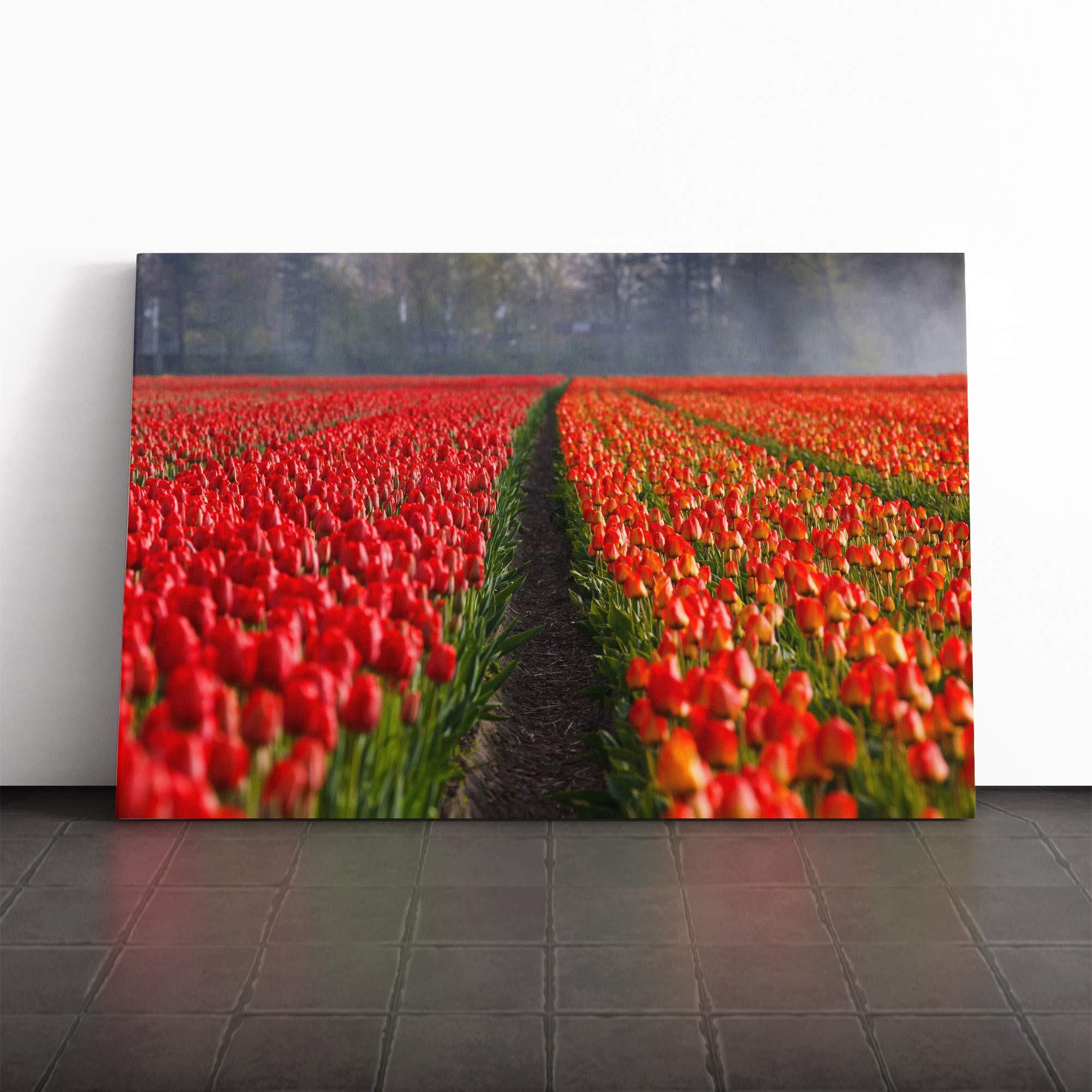 Flower Tulips Netherlands Landscape Canvas Print | Gallery Wrapped 30mm Frame Wall Art | 30x20 inches | Ready to Hang | Modern Floral Picture | Living Room Bedroom Lounge Office
