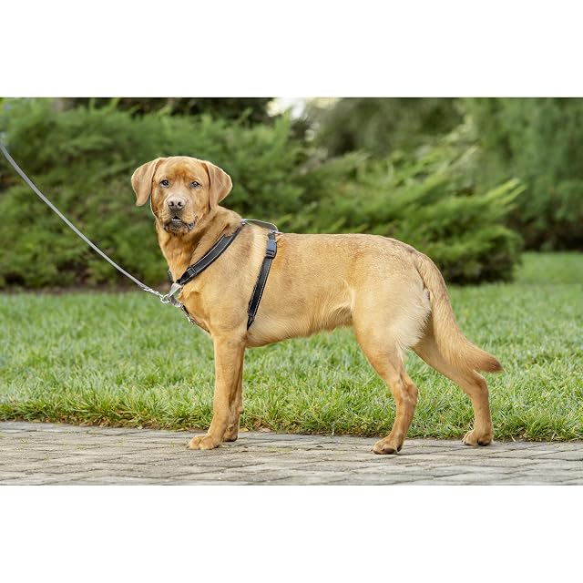 Foto 8 de 8 de PetSafe 3-in-1 Arnés Pectoral con Enganche Frontal, L, Negro