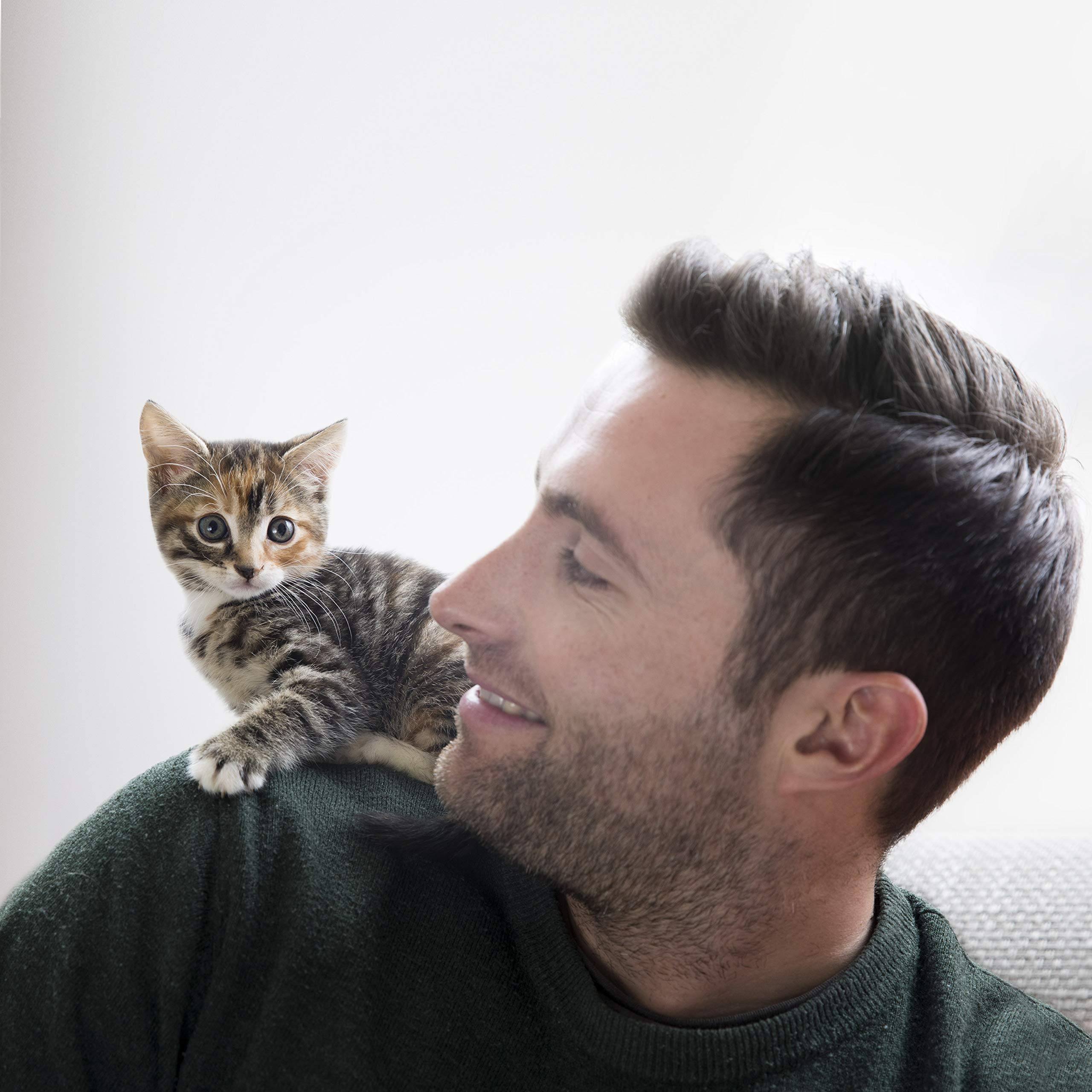 IAMS Junior sucha karma dla kotów z kurczakiem – sucha karma dla kociąt w wieku 1-12 miesięcy, 1,5 kg | Junior sucha karma dla kotów | dla młodych kotów | z wysokiej jakości białkami zwierzęcymi