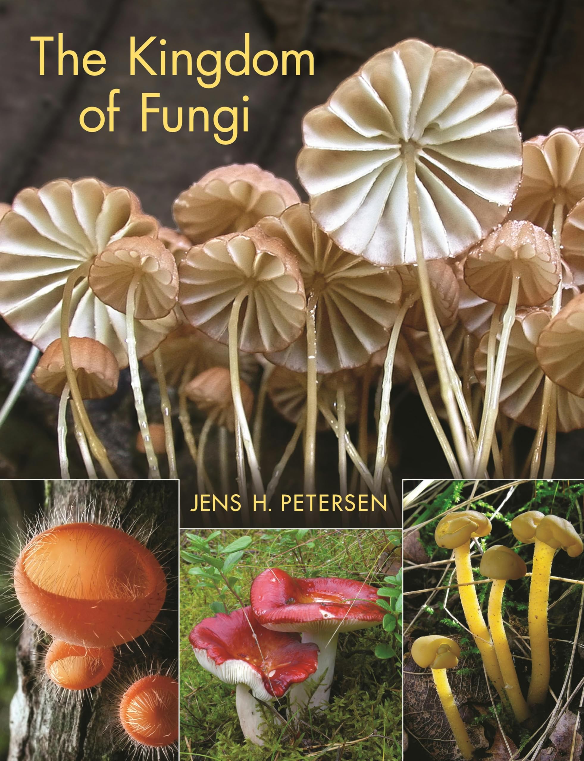 The Kingdom of Fungi by Jens H. Petersen (Hardback Book)