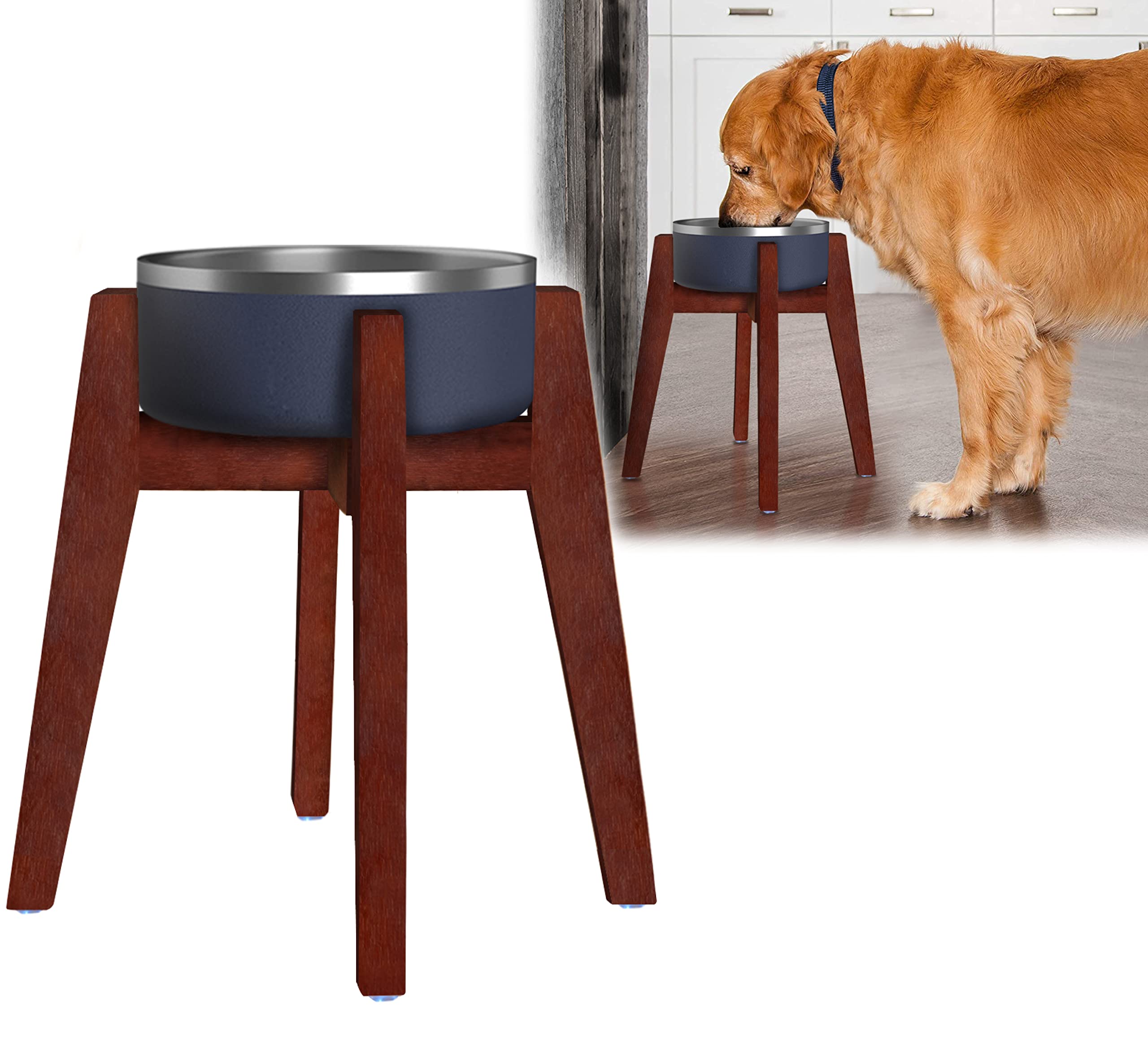 Why Does My Big Dog Stand Over My Little Dog