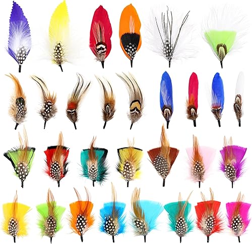 Plumas de sombrero 30 estilos surtidos de plumas para sombreros Fedora, accesorios coloridos de plumas reales para hombres y mujeres