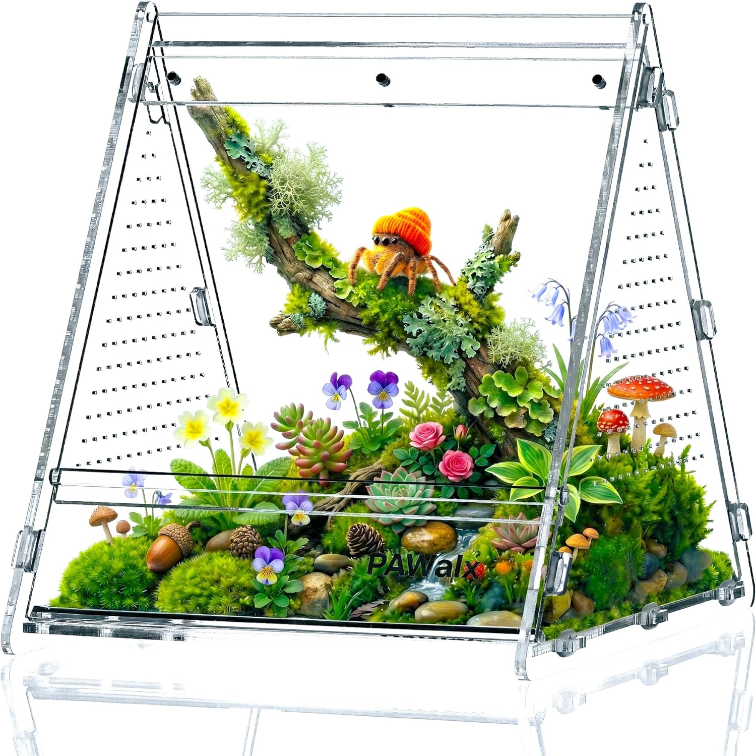 Triangular Jumping Spider Enclosure, Acrylic Terrarium with Magnetic Doors, 0.8mm Micro-Ventilation& Escape-Proof Design for Tarantulas, Lizards, Small Pets (Green,9.4"x10.9"x10.6")