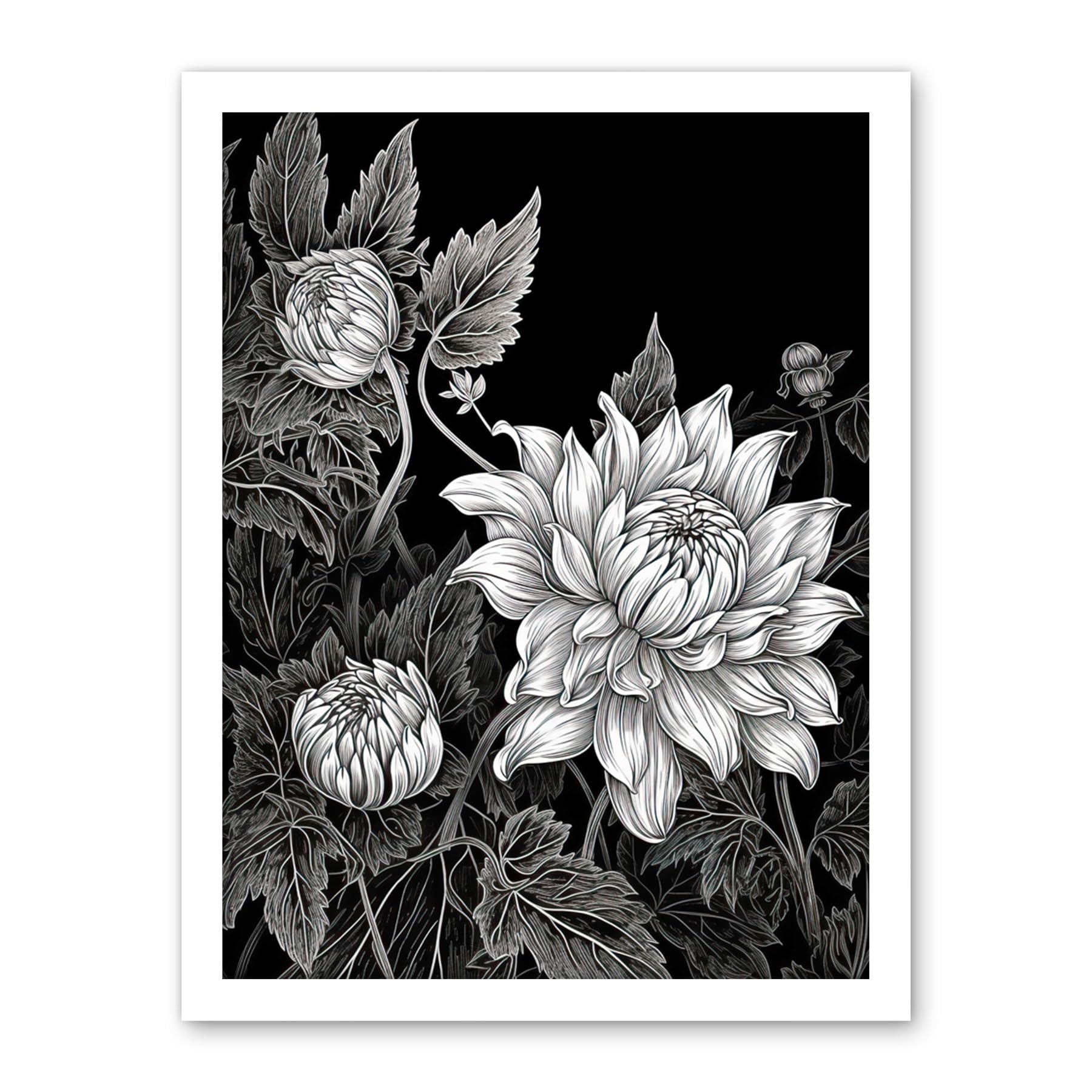 Artery8 Detailed Black and White Dahlia Flower Blooms Artwork Framed Wall Art Print 18X24 Inch