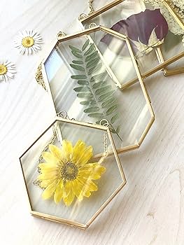 本物の花フレーム入り リーフ インテリア 壁掛け 24K GOLD 81BKlMoPyLL._AC_UF350,