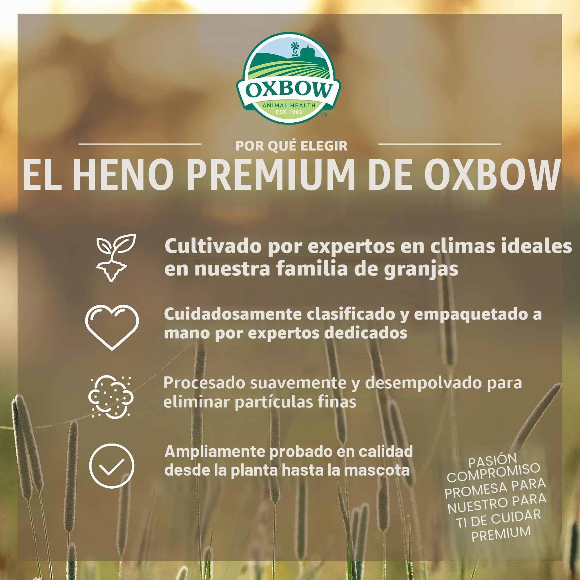 Oxbow Animal Health Alfalfa Hay, 9 Libras