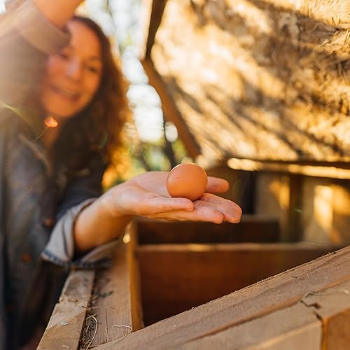 Miniatura 6 de Rural365 Paquete de 12 forros para caja nido de pollo, ropa de cama de gallinero, suministros para aves de corral, ropa de cama de pollo, forro de