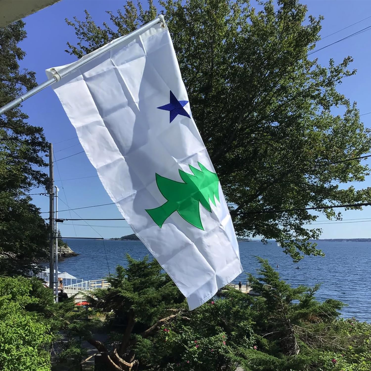 Heavy Duty Maine 1901-1909 State Flag 3x5 Ft -Embroidered Pine Tree Longest Lasting Nylon 210D | Four Rows Stitching Fly Ends | USA State United States ME Flags Decoration Gift Yard House Banner - Image 4