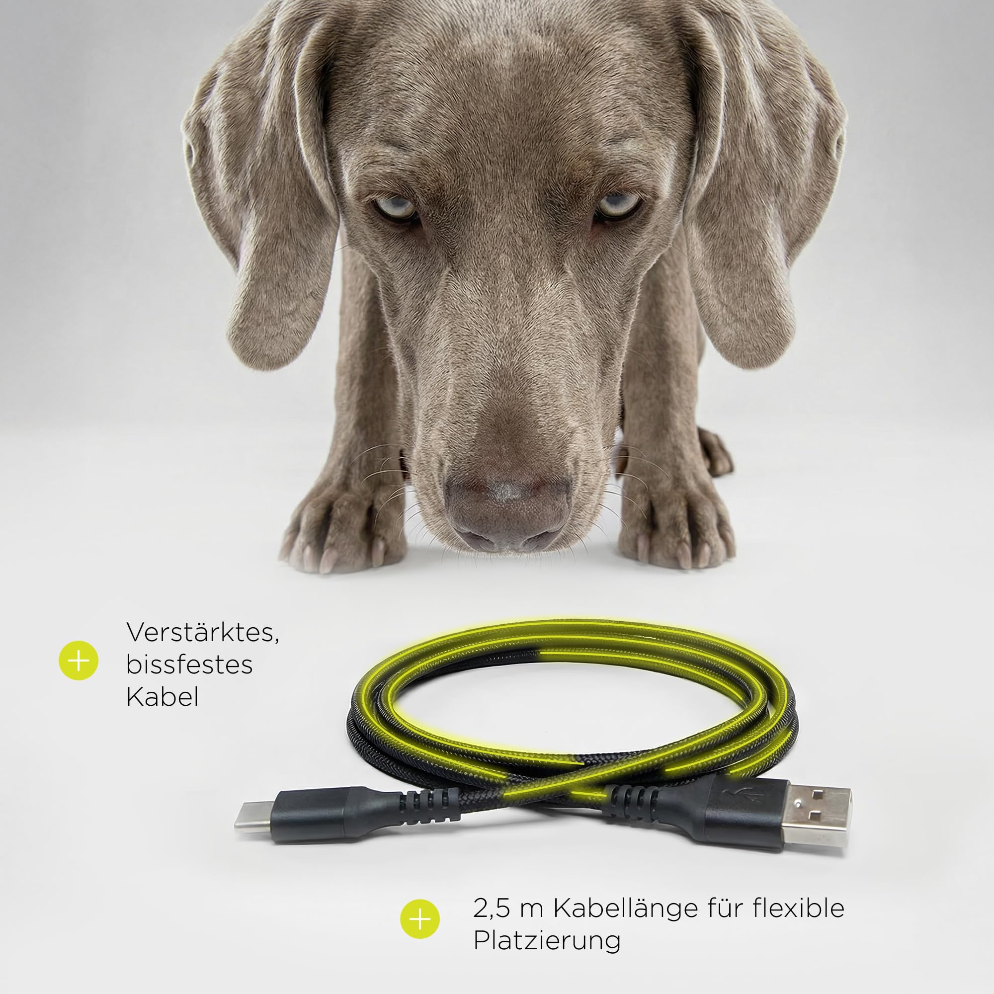 Crispy Futterautomat für Hunde, Automatischer Futterspender Hund mit Timer, bis zu 4 Mahlzeiten, Notstrom mit Batterie, USB-C, LCD Display, Edelstahl Napf, 4,5 L für Trockenfutter 5-15 mm
