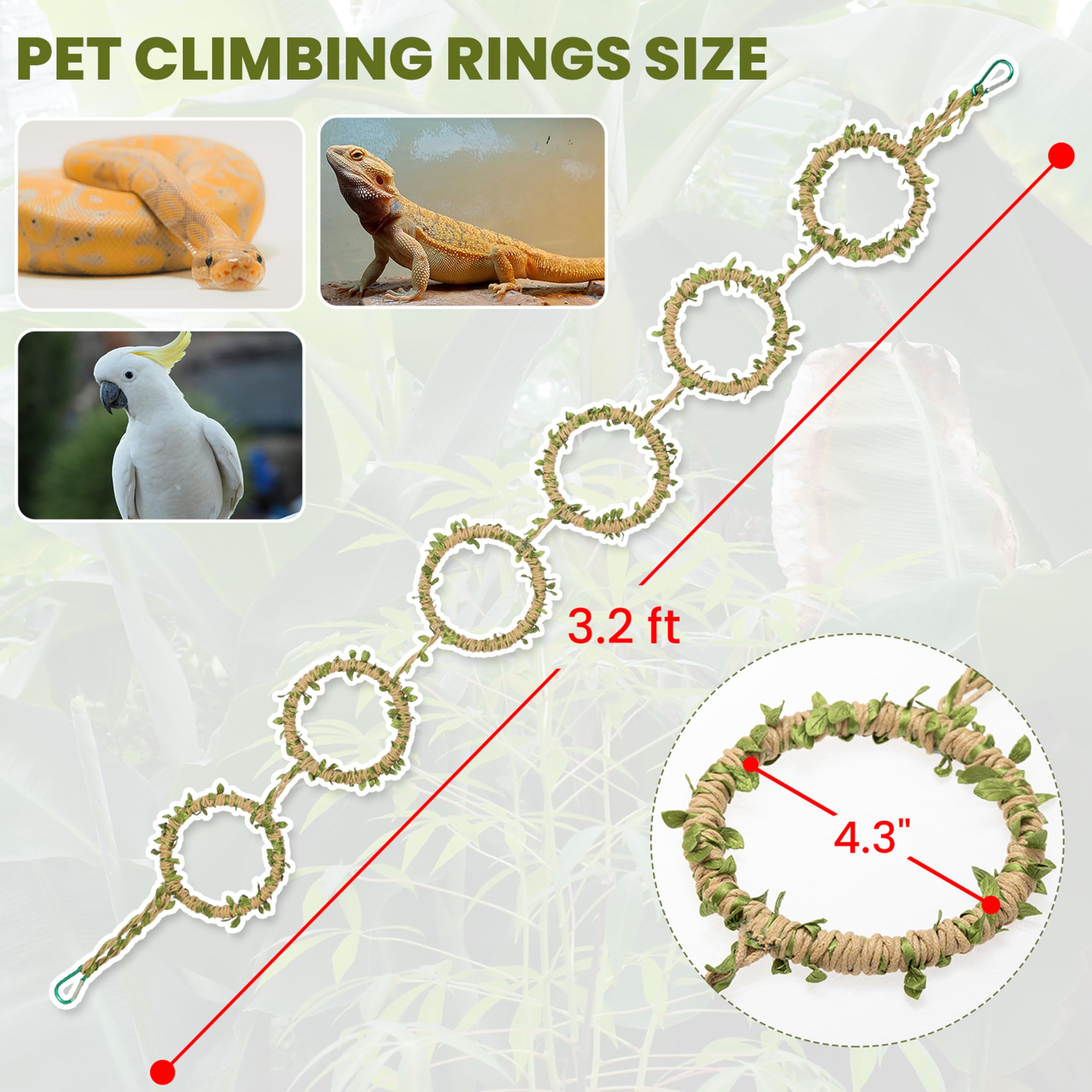 Snake Climbing Rings for Ball Python & Corn Snake, Enrichment Pet Toys Reptile Tank Cage Decor Habitat Accessories for Terrarium, Bearded Dragon, Chameleon, Lizard, Parrot - 2