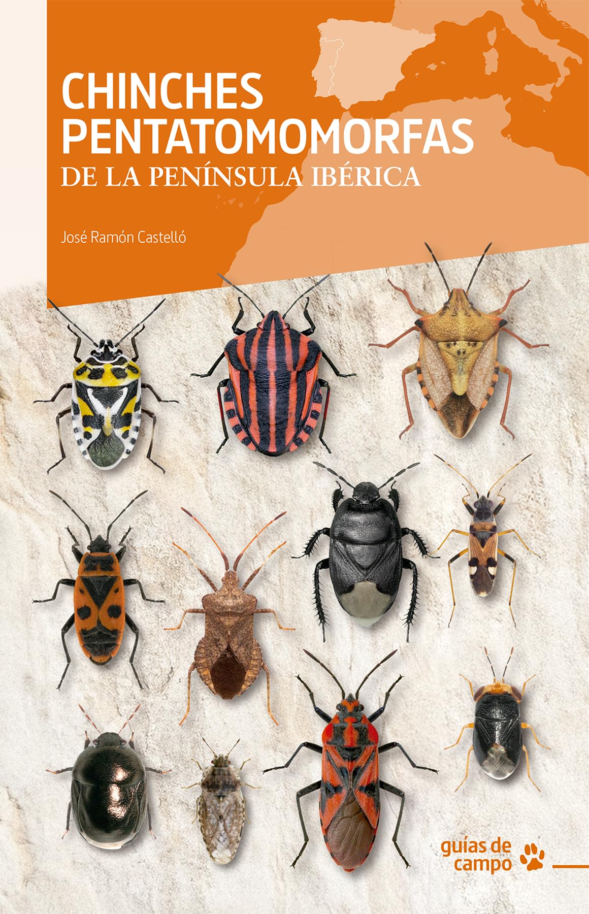 Chinches pentatomomorfas de la península ibérica