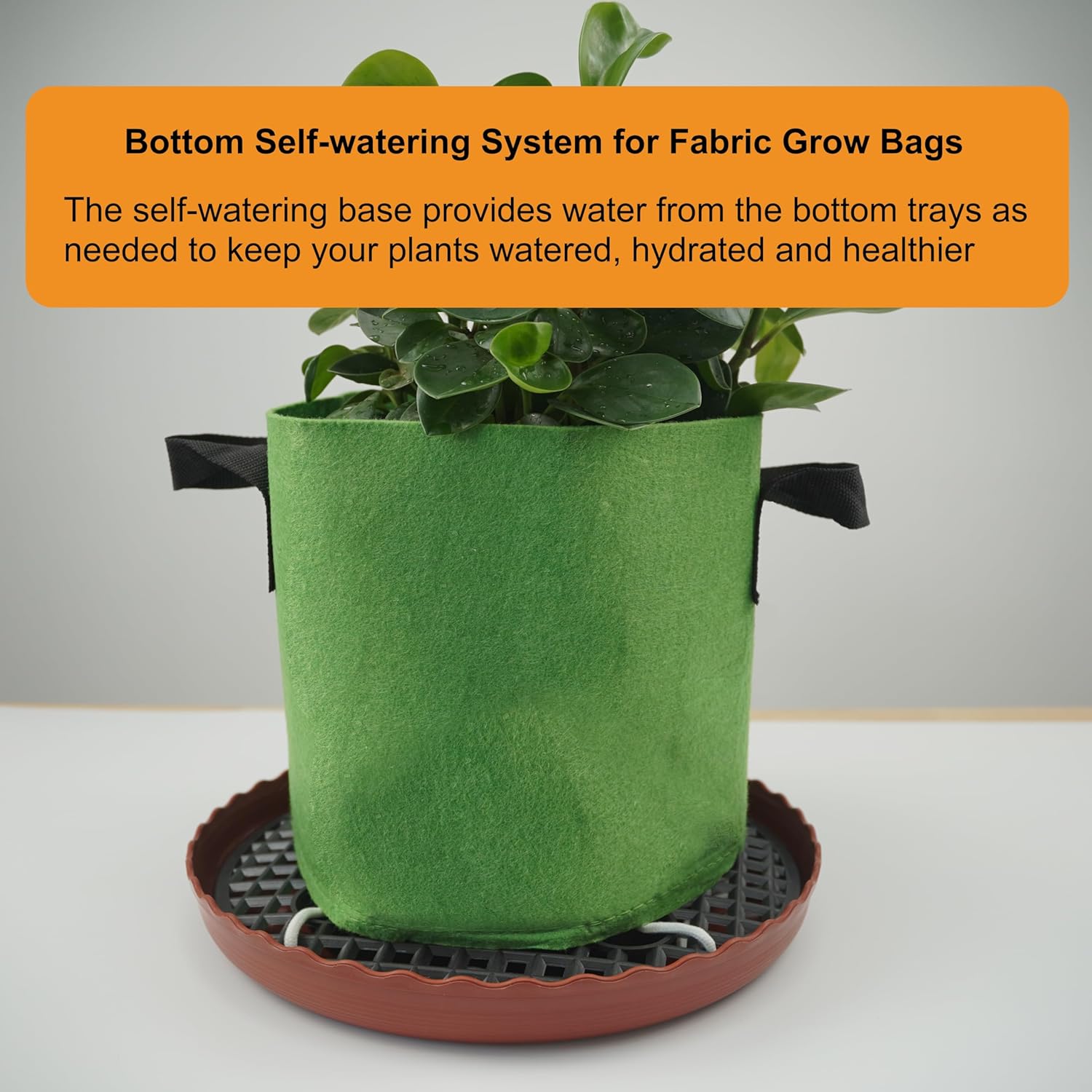 6 Pack 12.6 inch Self Watering Base for 1-5 Gallon Fabric Pot, Automatic Watering Tray System for Non-woven Grow Bag, Plastic Elevated Plant Flower Saucer Stand Growth Tent Greenhouse Indoor Outdoor