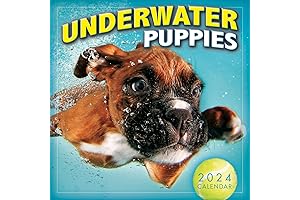 2023 Underwater Puppies Calendar — Photography by Seth Casteel, 7" x 7"
