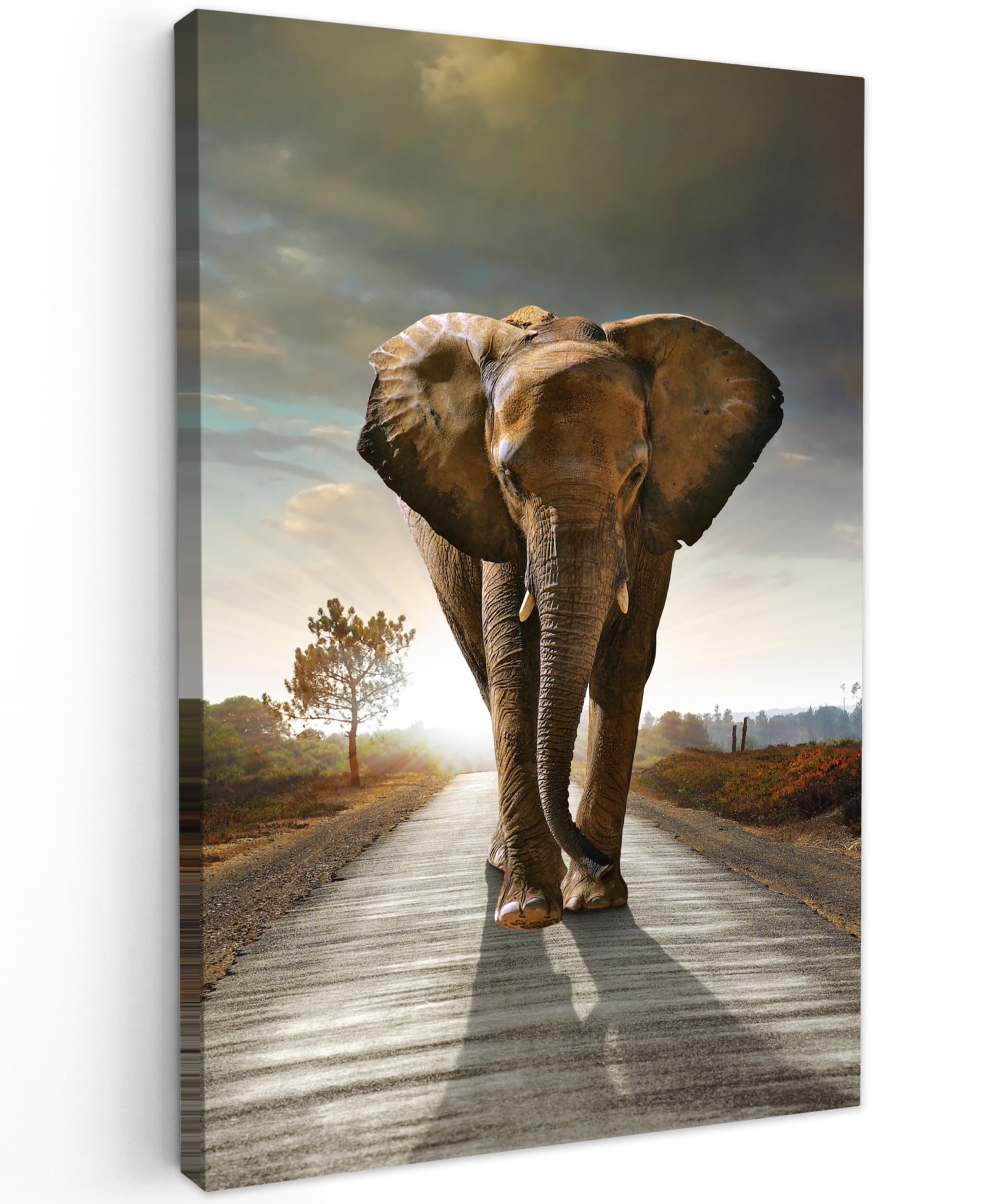 MuchoWow© Canvas Wall Art 16"x24" / 40x60 cm Decor Prints for Living Room Decorative Canvases Hall Artwork Elephant - Road - Animals - Sunset - Landscape
