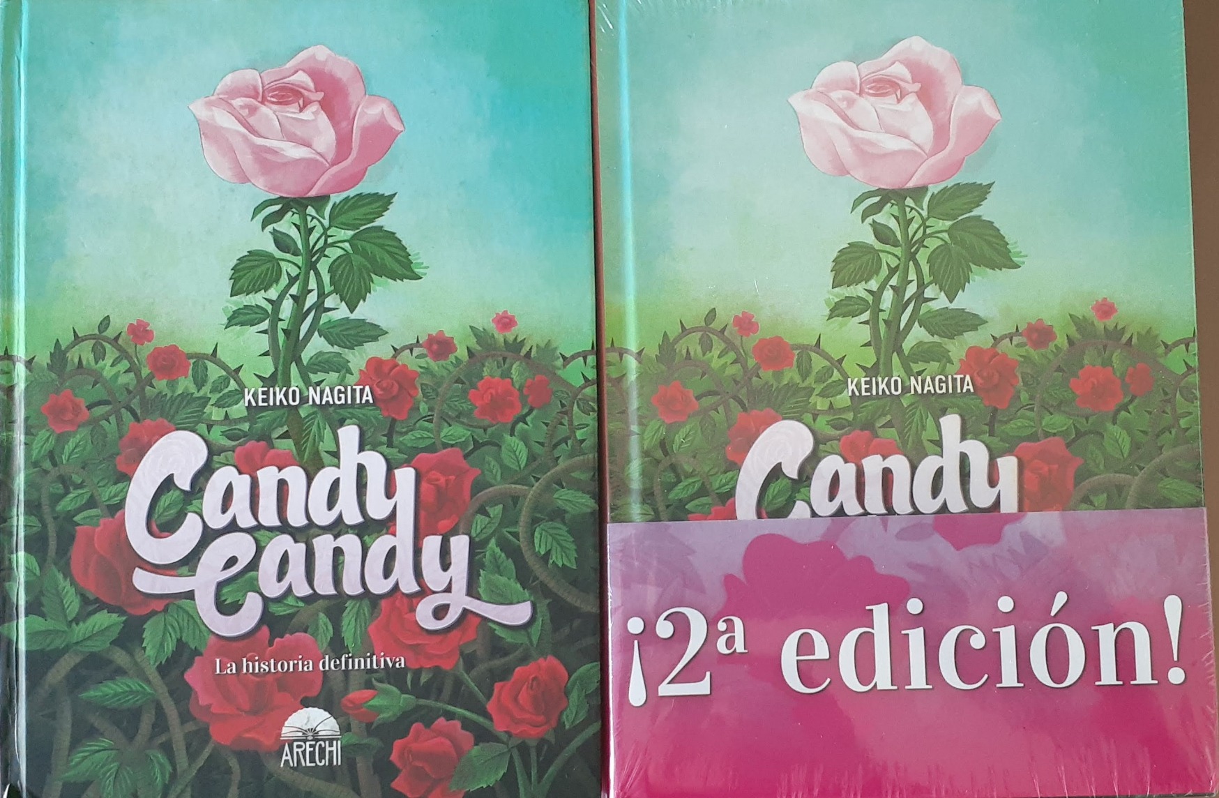 Candy Candy. La Historia Definitiva Keiko Nagita, Keiko