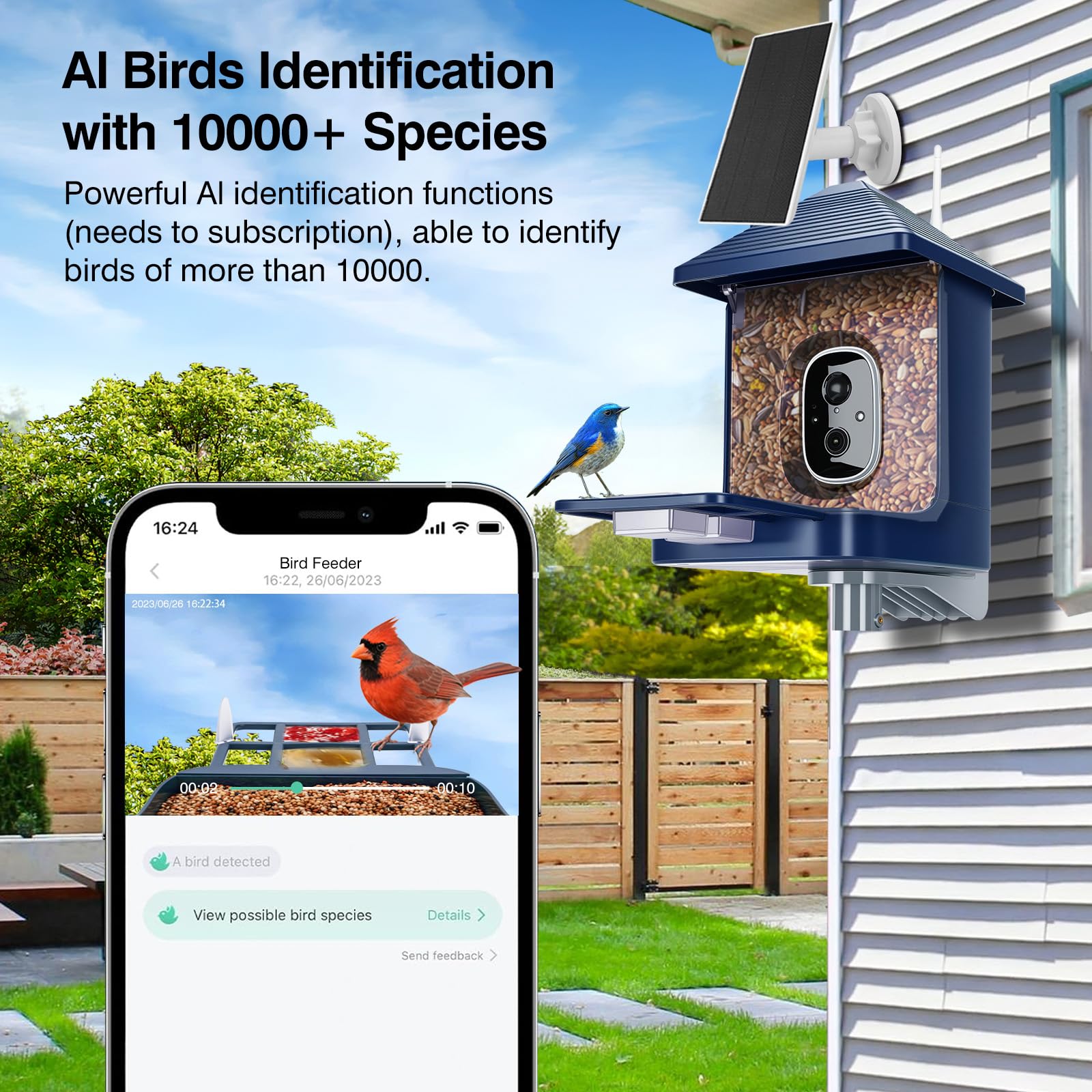 Comedero para pájaros con cámara alimentada por energía solar, identificación de especies con IA, alertas de llegada instantáneas, captura de video HD 2K, vista en vivo, regalo para los amantes de los