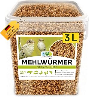 Dried Mealworms, Premium Insect Snack, Birds, Fish, Turtles, Rodents, Hedgehogs, Reptiles, Bird Food, Wild Birds, All Year Round Squirrel Feed, Hamster Food, Hedgehog Food (460 g) product image