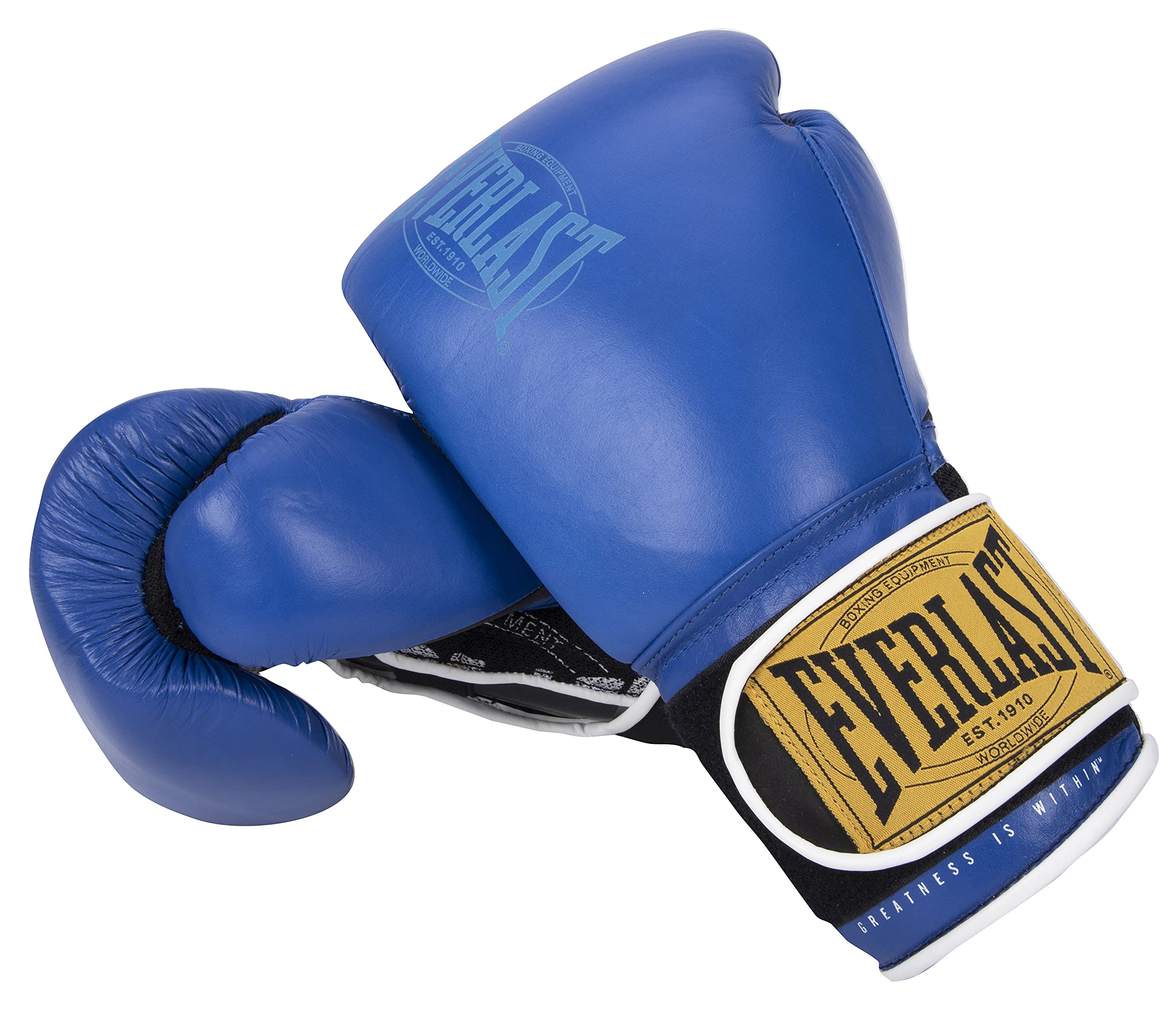 Gants De Boxe Everlast Vintage Série 1910 - Sparring - 8oz à 16oz - Taille L - Neufs