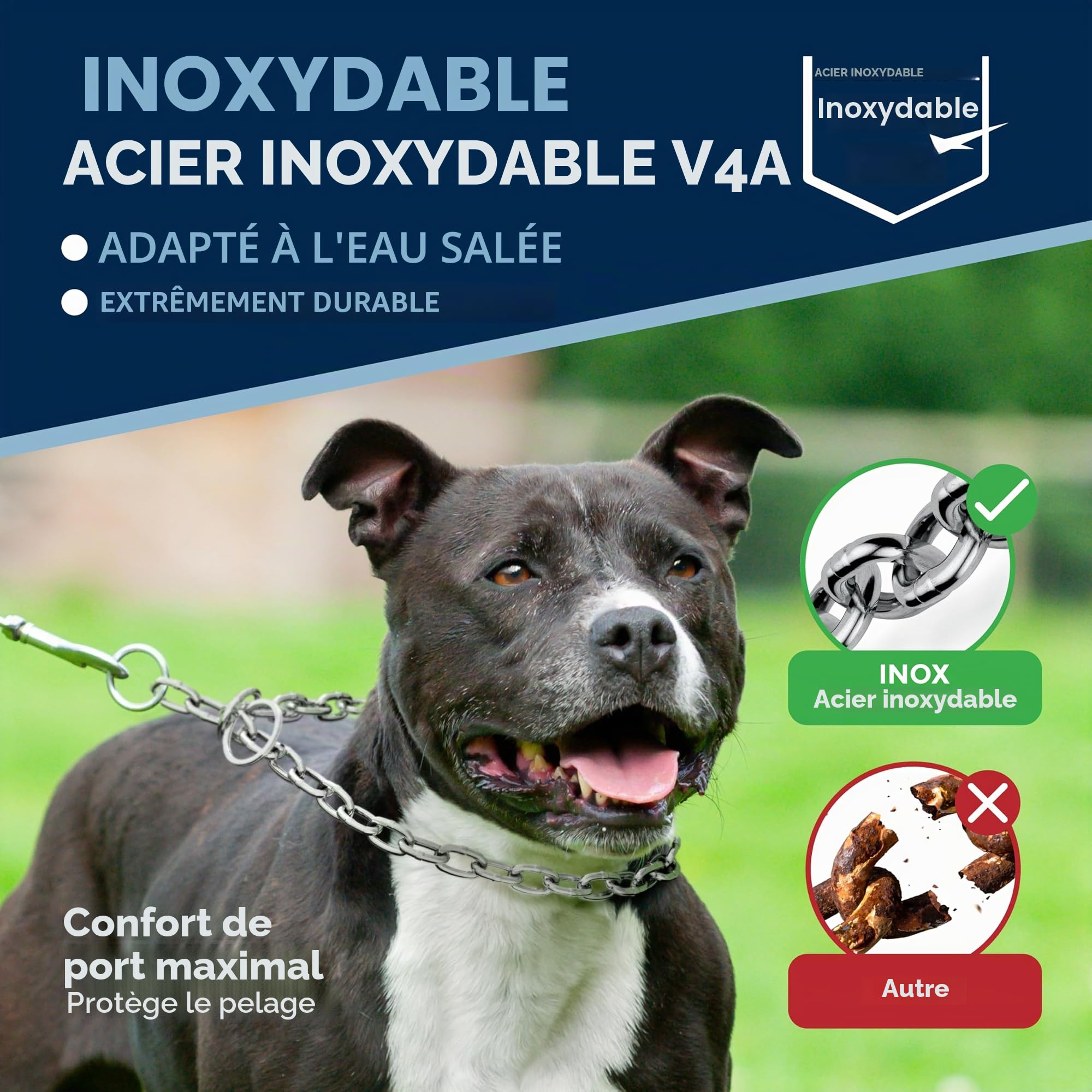 Collier de Dressage Chien Acier Inoxydable – chaîne maillons Longs, 4 mm, 51 cm, léger et Discret, Anti-Traction