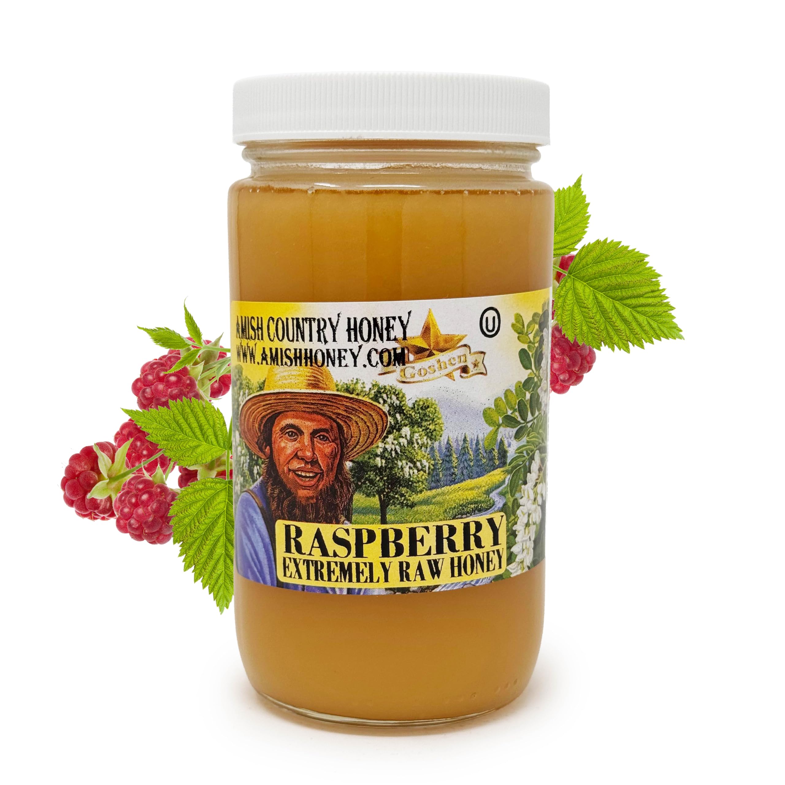Goshen Amish Country Extremely Raw Raspberry Blossom Honey - Unfiltered, Unprocessed, Pure, Natural - Harvested in the USA - Rich Flavor for Tea, Cooking, Wellbeing - Kosher Certified - 16oz Glass Jar