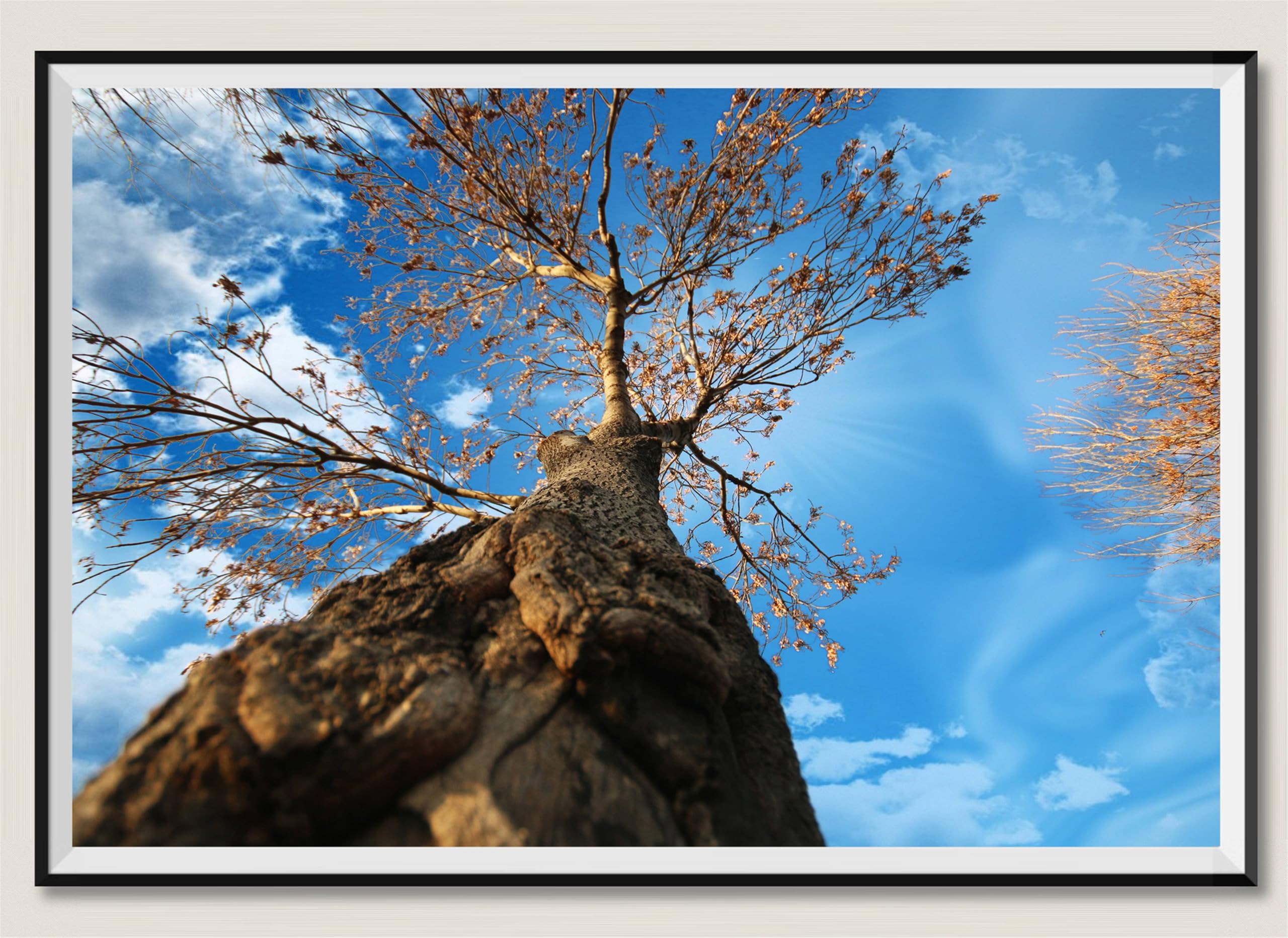 Lonely Tree - Puzzle in legno da 2000 pezzi, regalo per amicizia, tempo libero, intrattenimento, decorazione per feste, 14 anni+