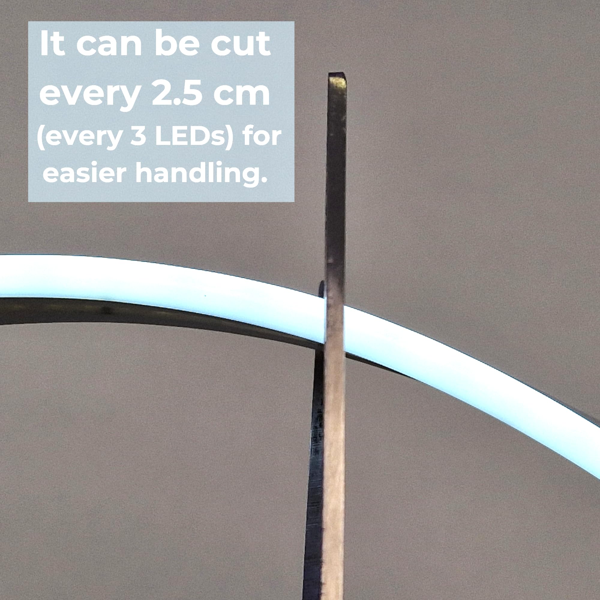 Jandei Kit Ruban LED 12V Blanc Froid 6000K 600LED 5 Mètres IP65 Coupe Extérieure 25mm