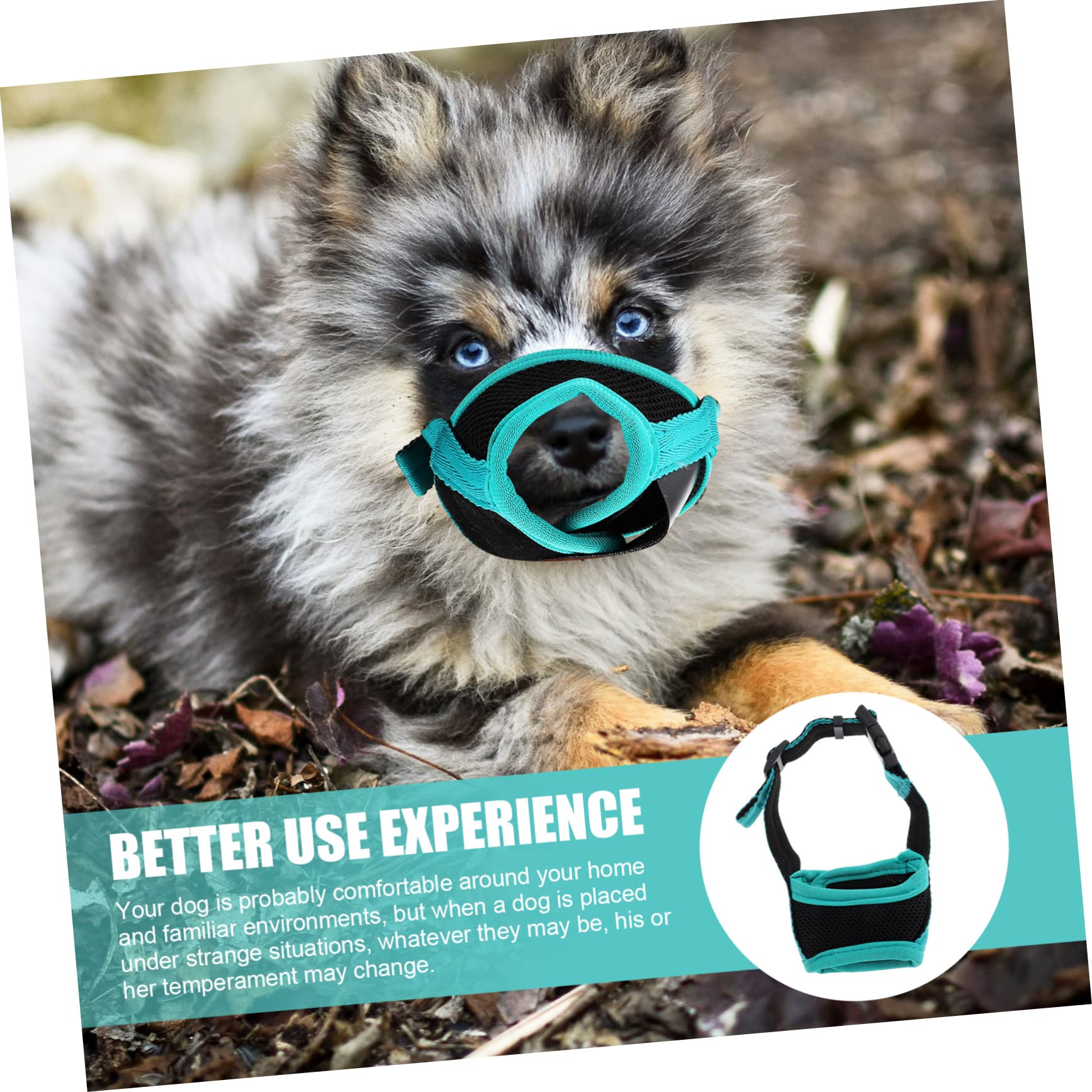 Beaupretty 5pièces Muselière Ajustable pour Chien Anti-Morsure Respirant Confort Optimal pour Empêcher Aboiements Et Mâchouillements