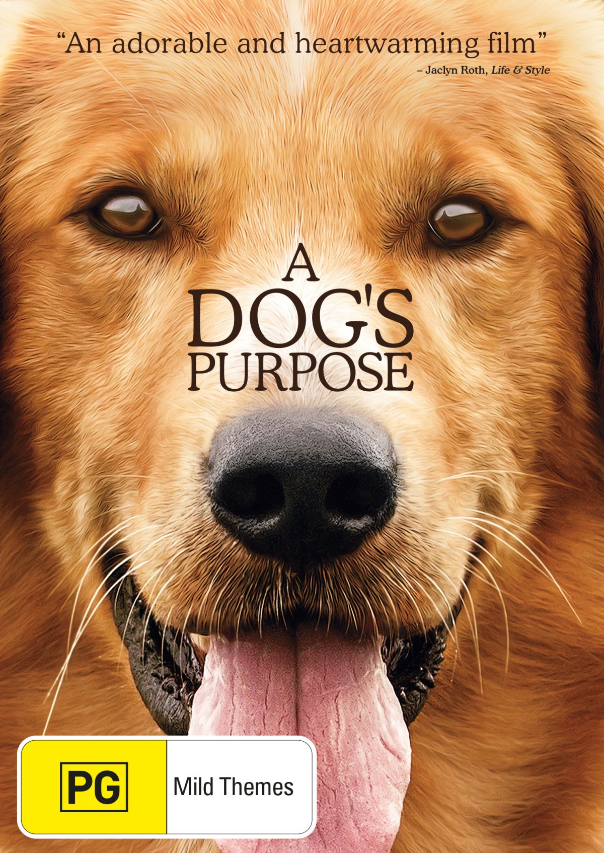 Película Tu mejor amigo Dennis Quaid DVD Región 4 Importación PAL Lasse Hallström